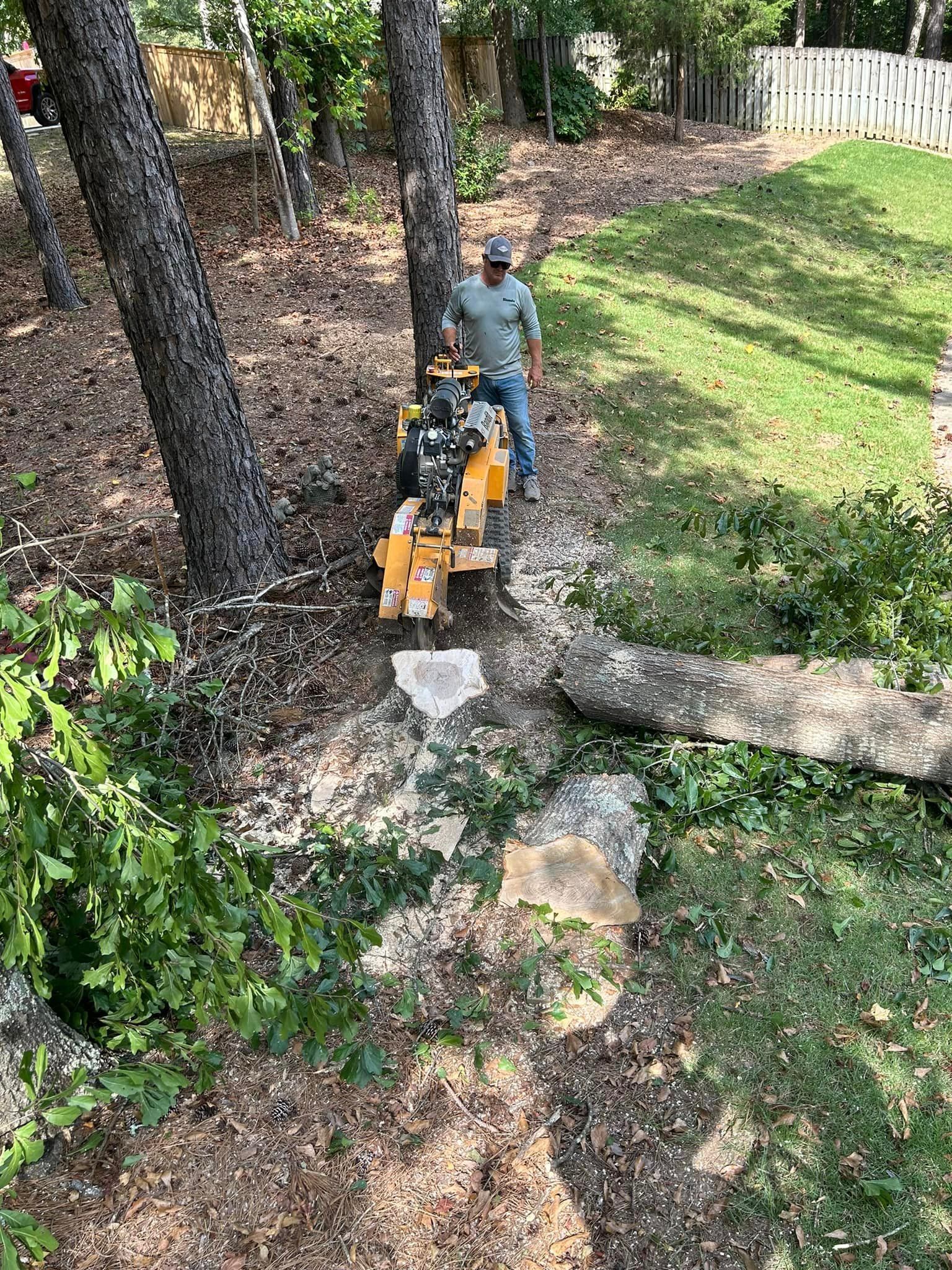 A man is standing next to a tree stump grinder in a yard.