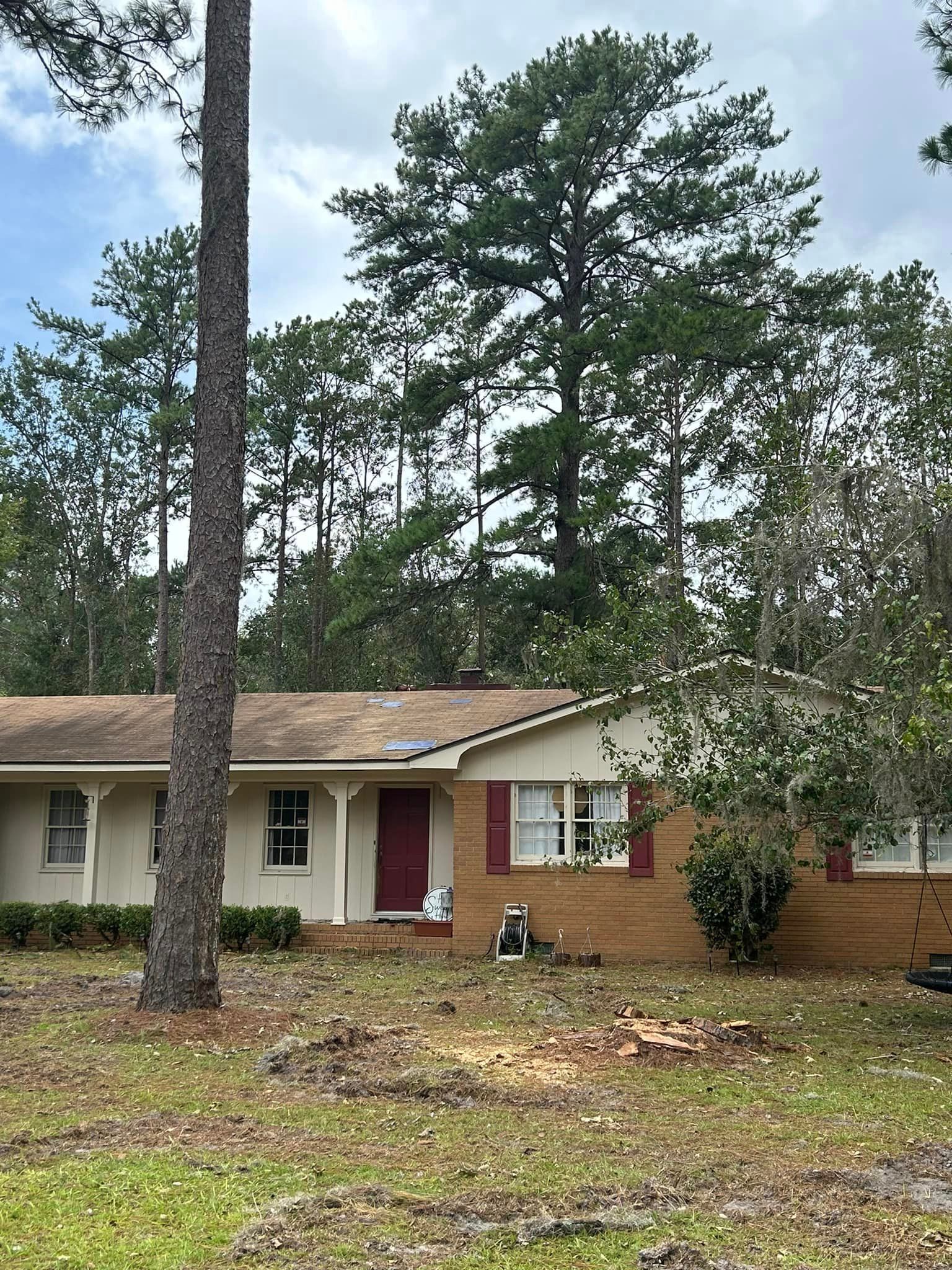 A house with a red door is surrounded by trees and grass.