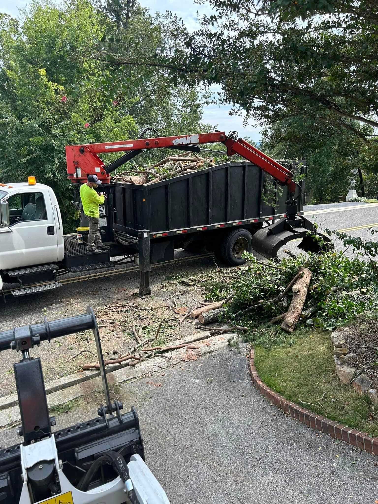 A man is loading logs into a dump truck with a crane.
