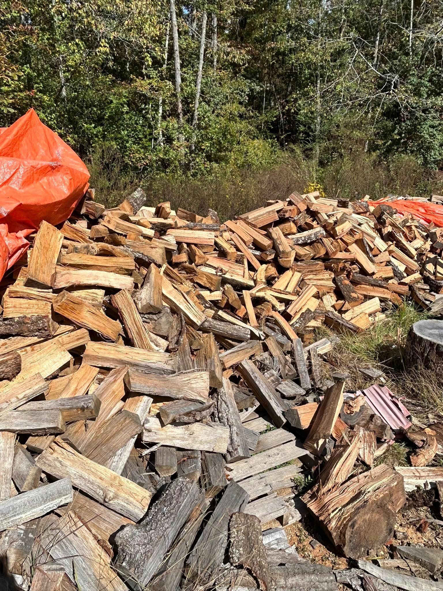 A pile of wood is sitting in the middle of a forest.