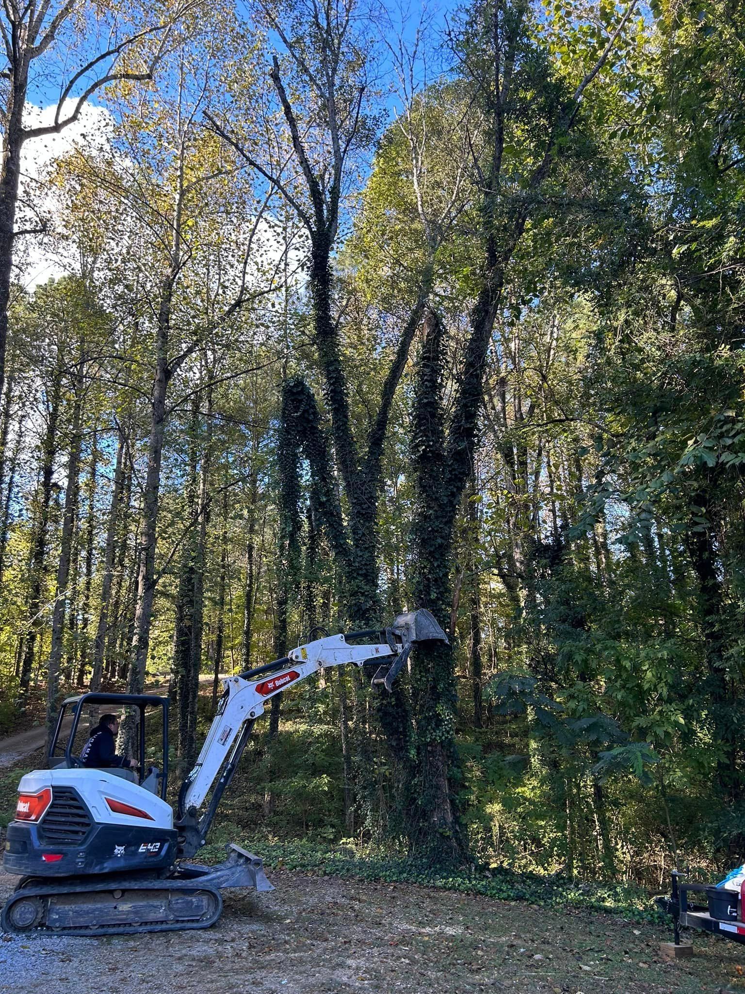 A small excavator is cutting a tree in the woods.