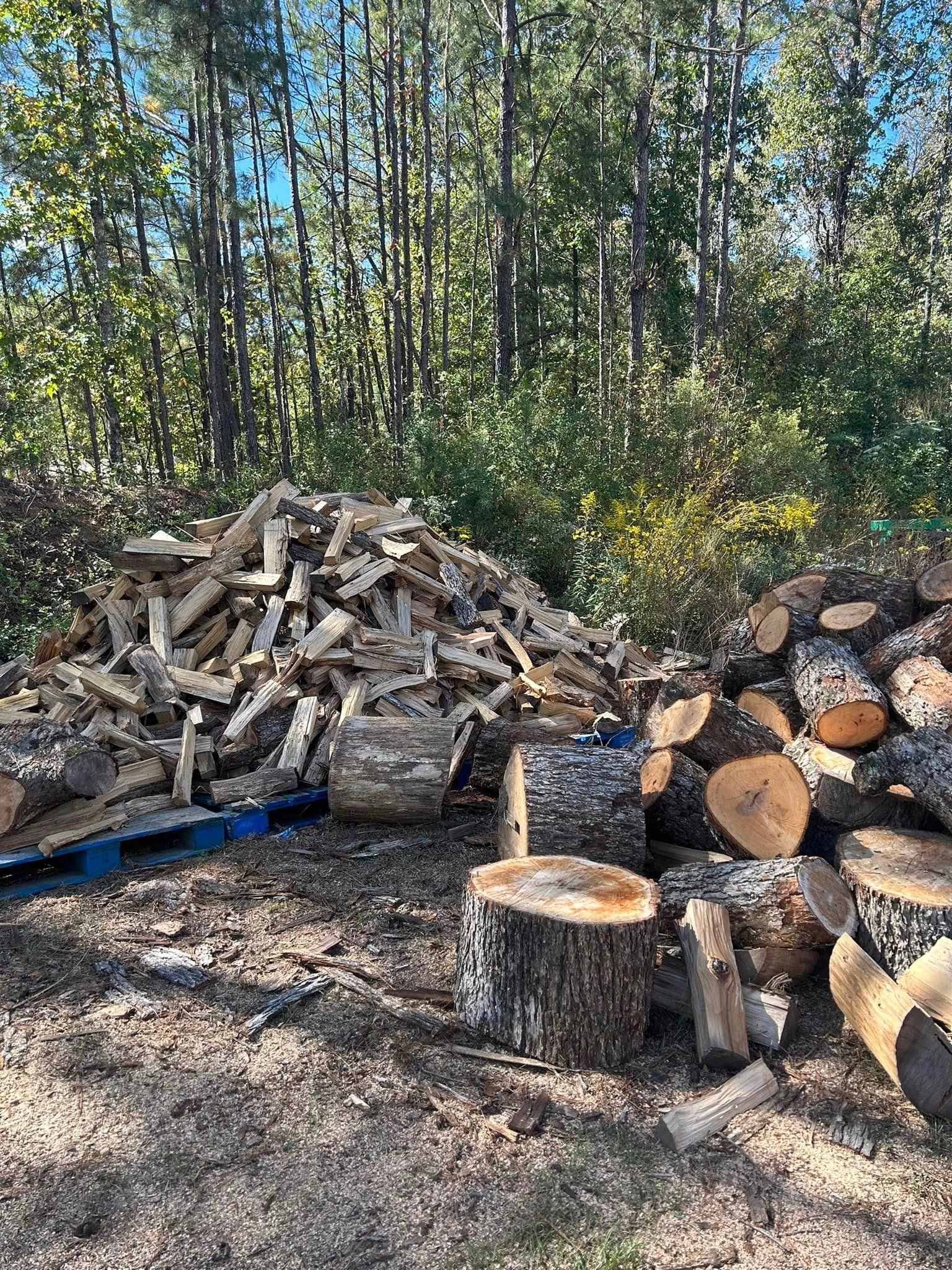 A pile of logs is sitting on the ground in the middle of a forest.
