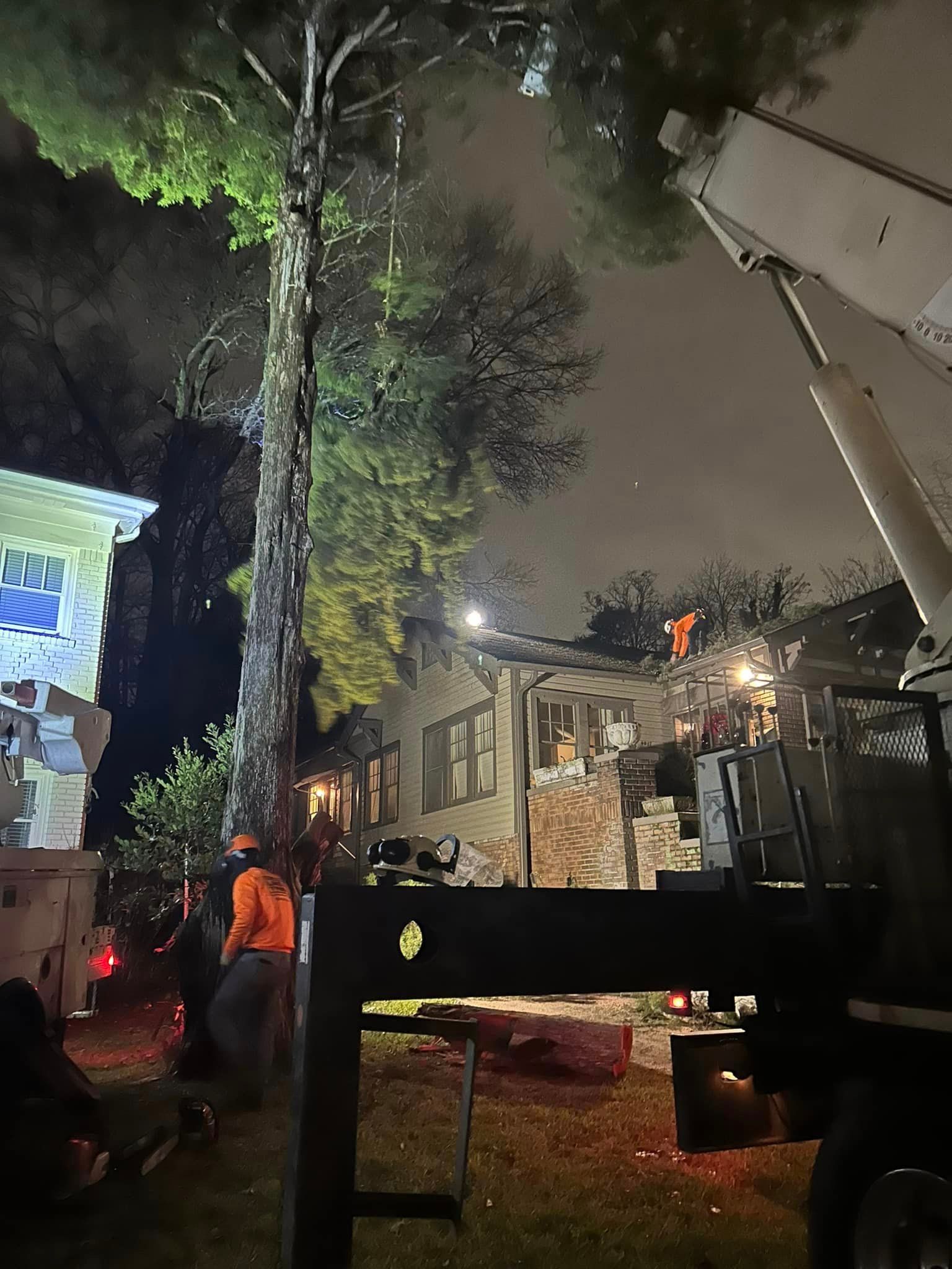 A crane is cutting a tree in front of a house at night.