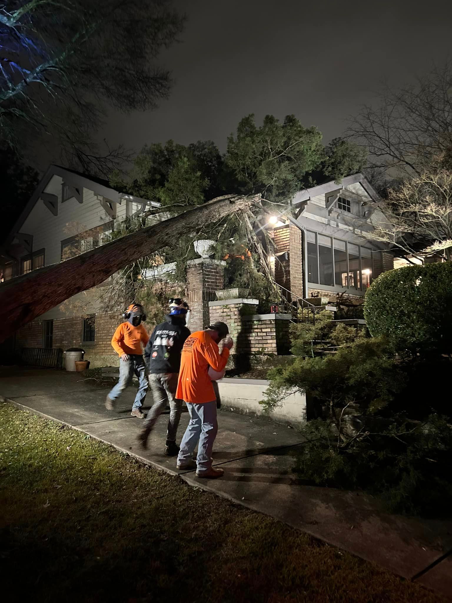 A group of people are walking down a sidewalk in front of a house with a tree fallen on it.