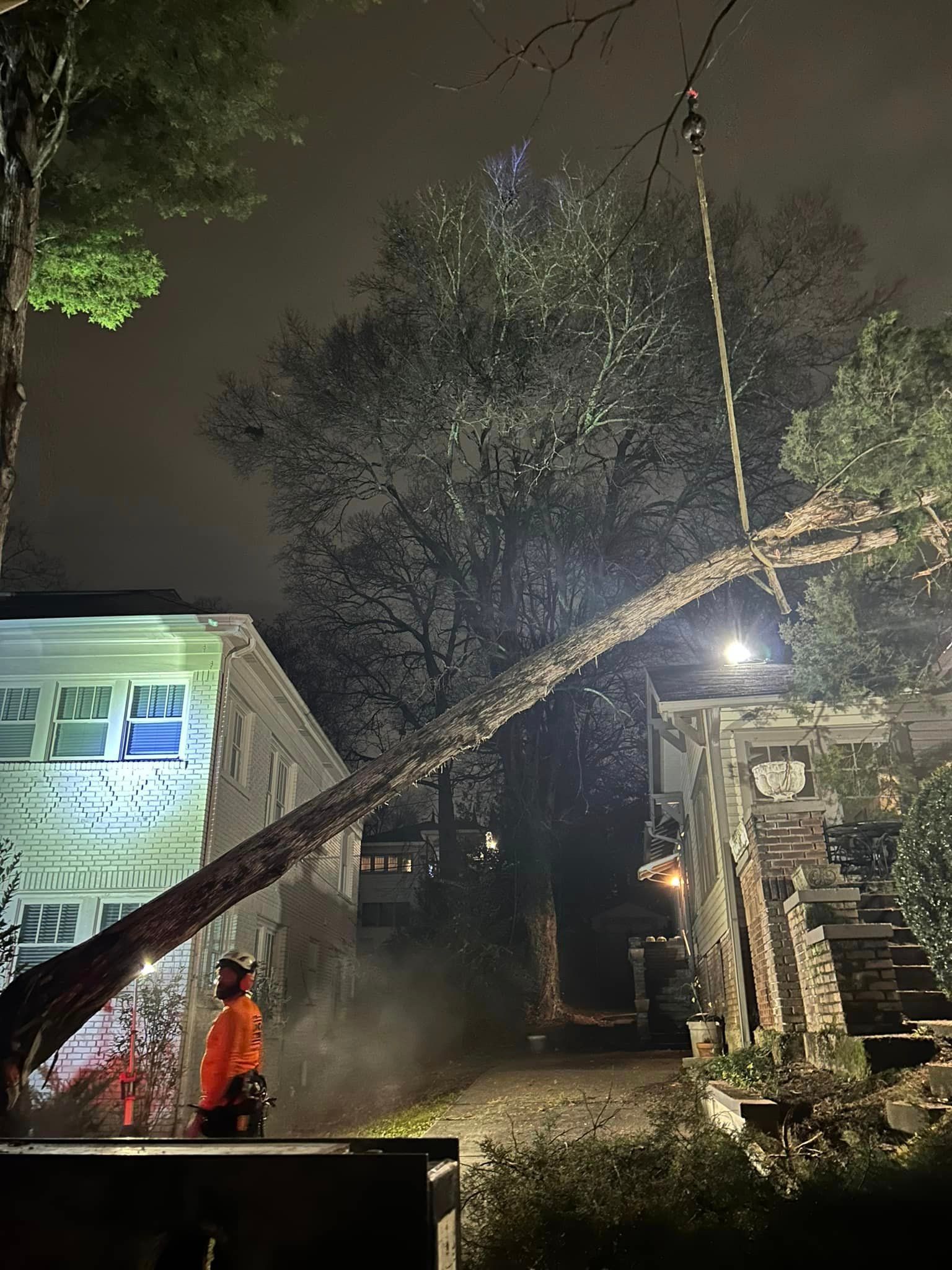 A tree that has fallen on a house at night.