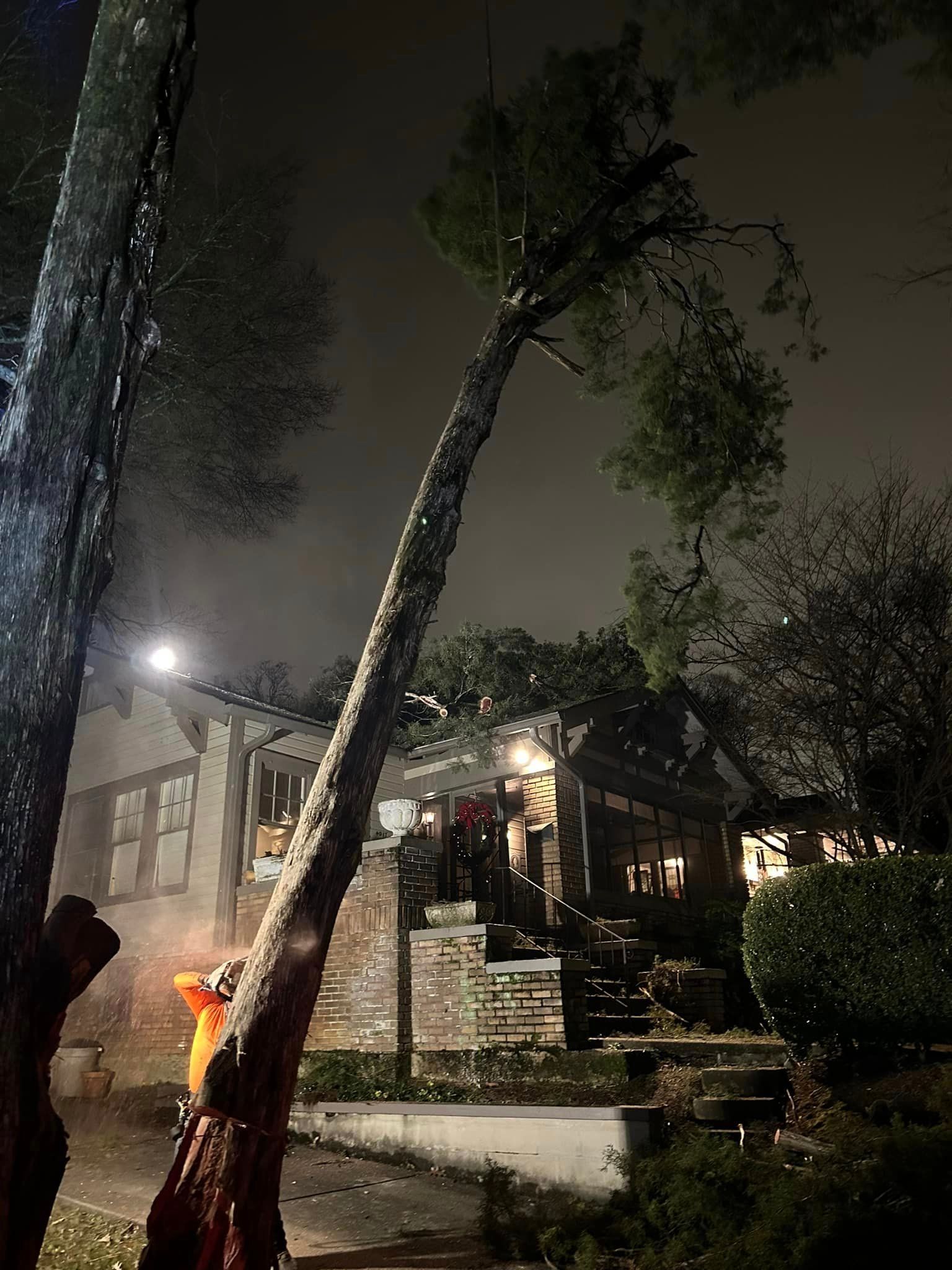 A tree is being cut down in front of a house at night.