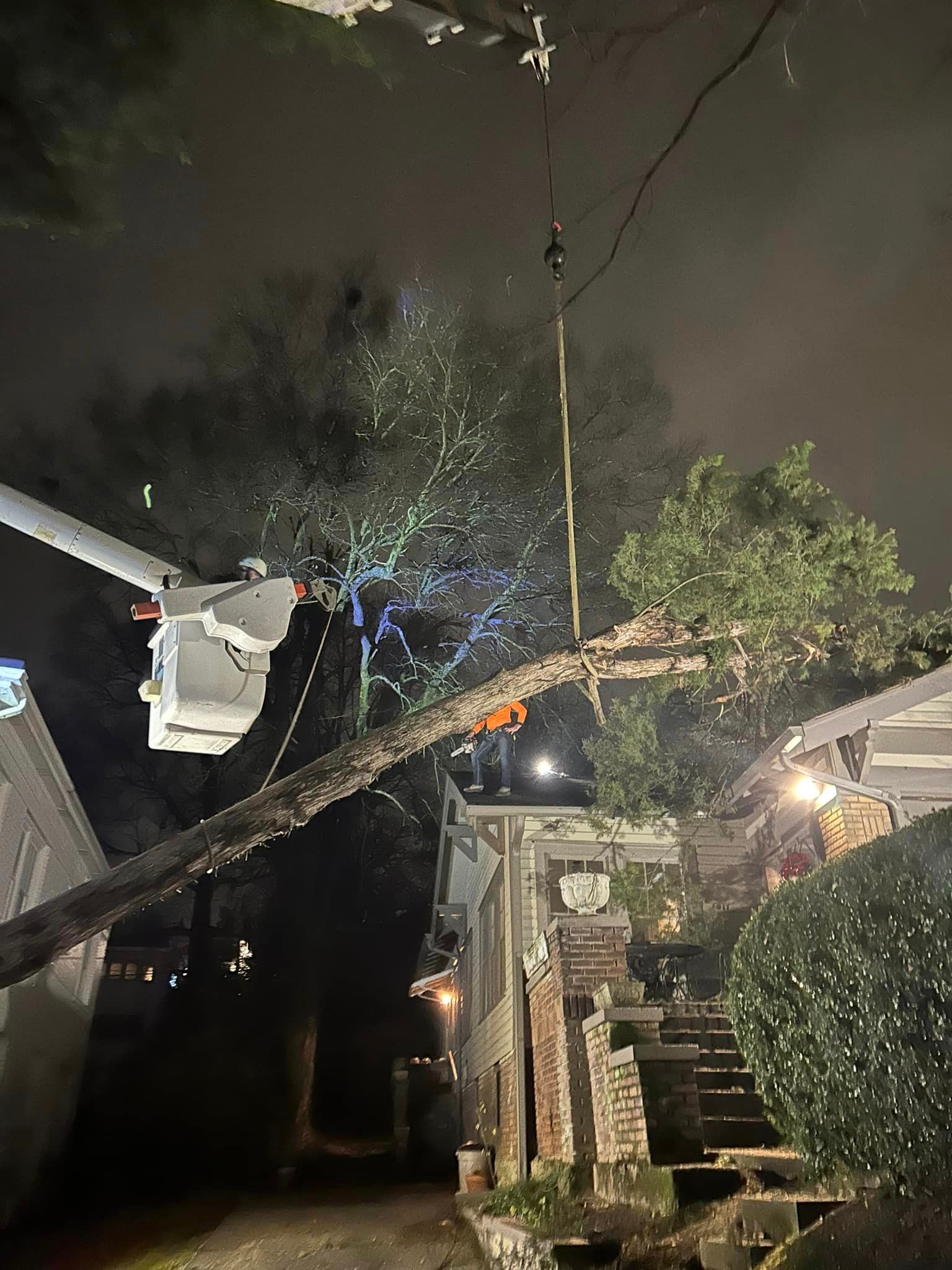 A tree is being removed from a house at night.
