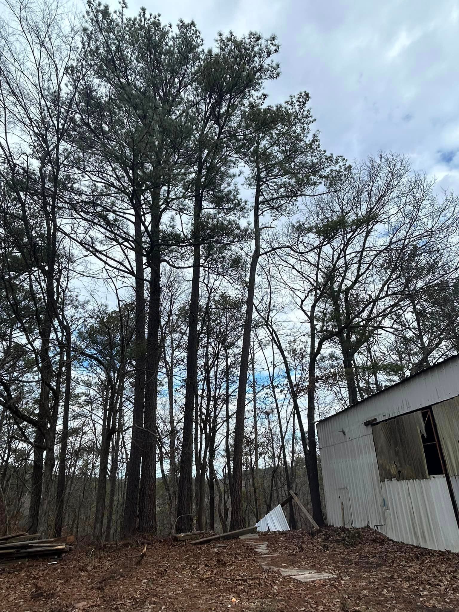 A white trailer is sitting in the middle of a forest surrounded by trees.