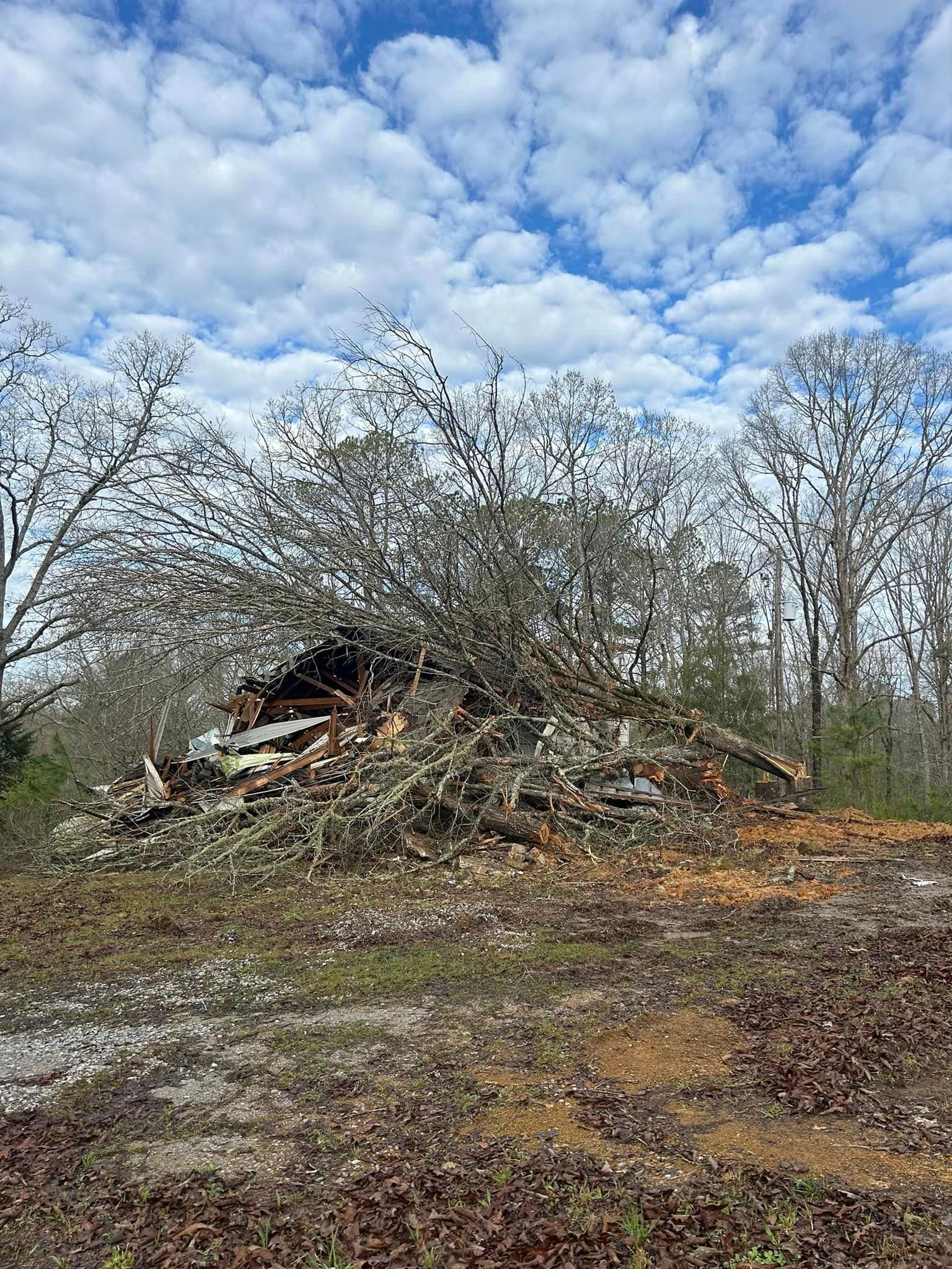 There is a large pile of branches in the middle of a field.