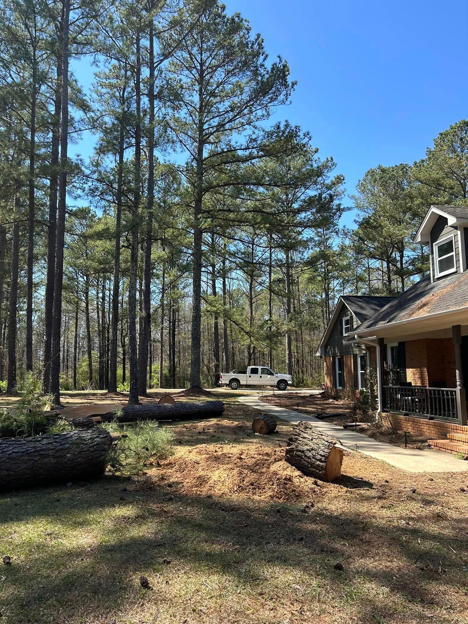 A house in the middle of a forest with a truck parked in front of it