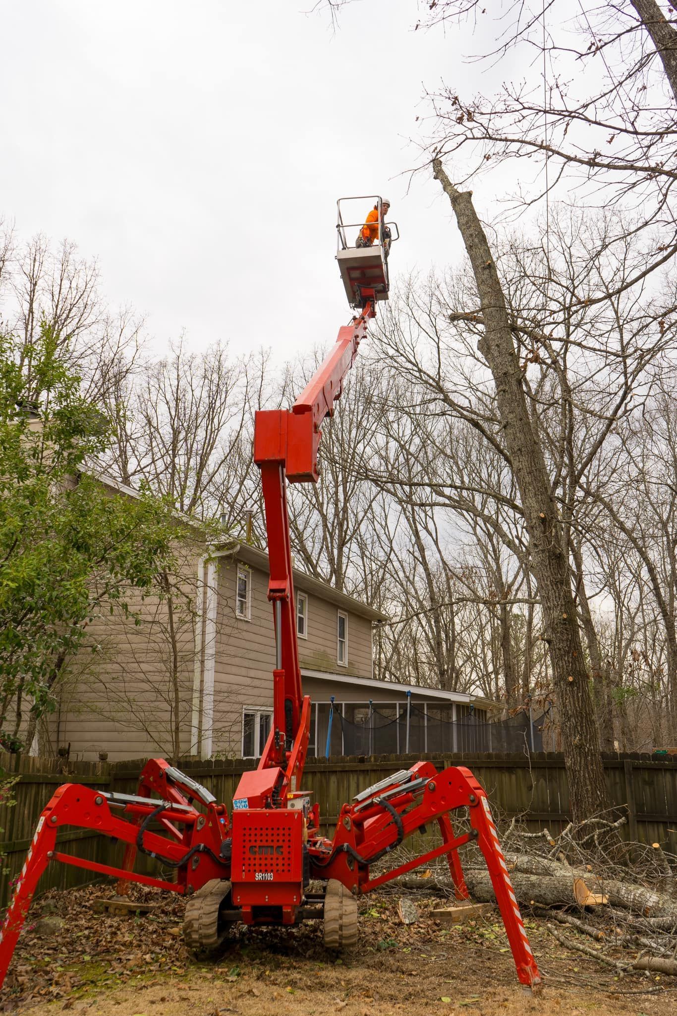 A man is cutting a tree with a crane in front of a house.
