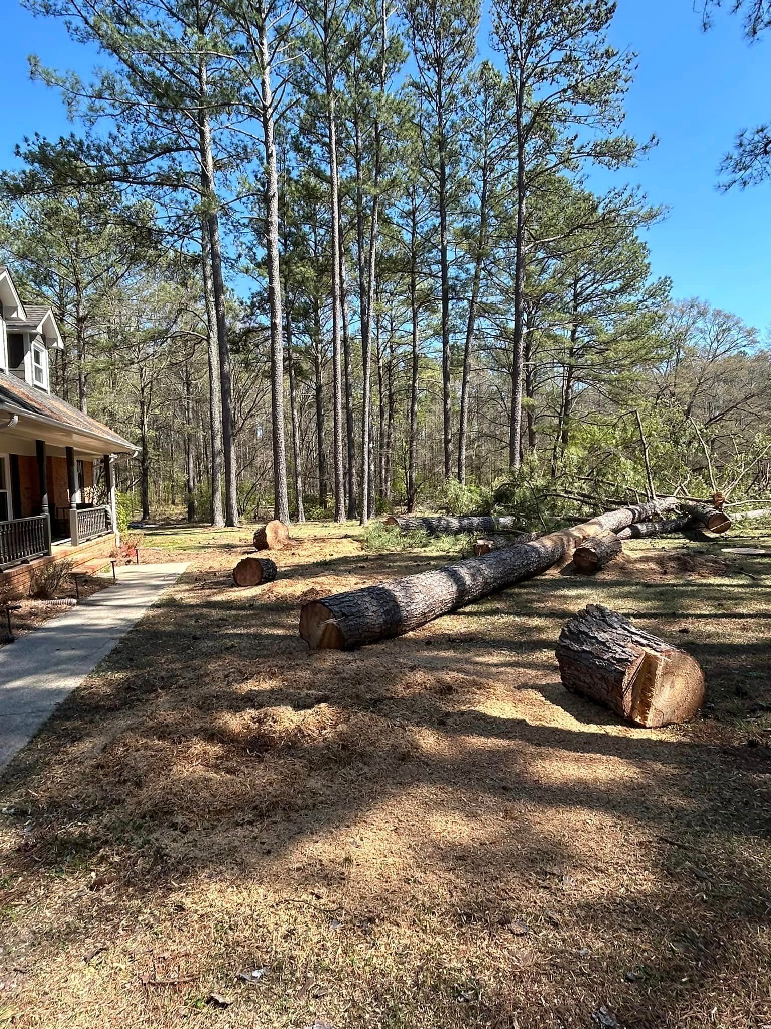 A large log is laying in the grass in front of a house.