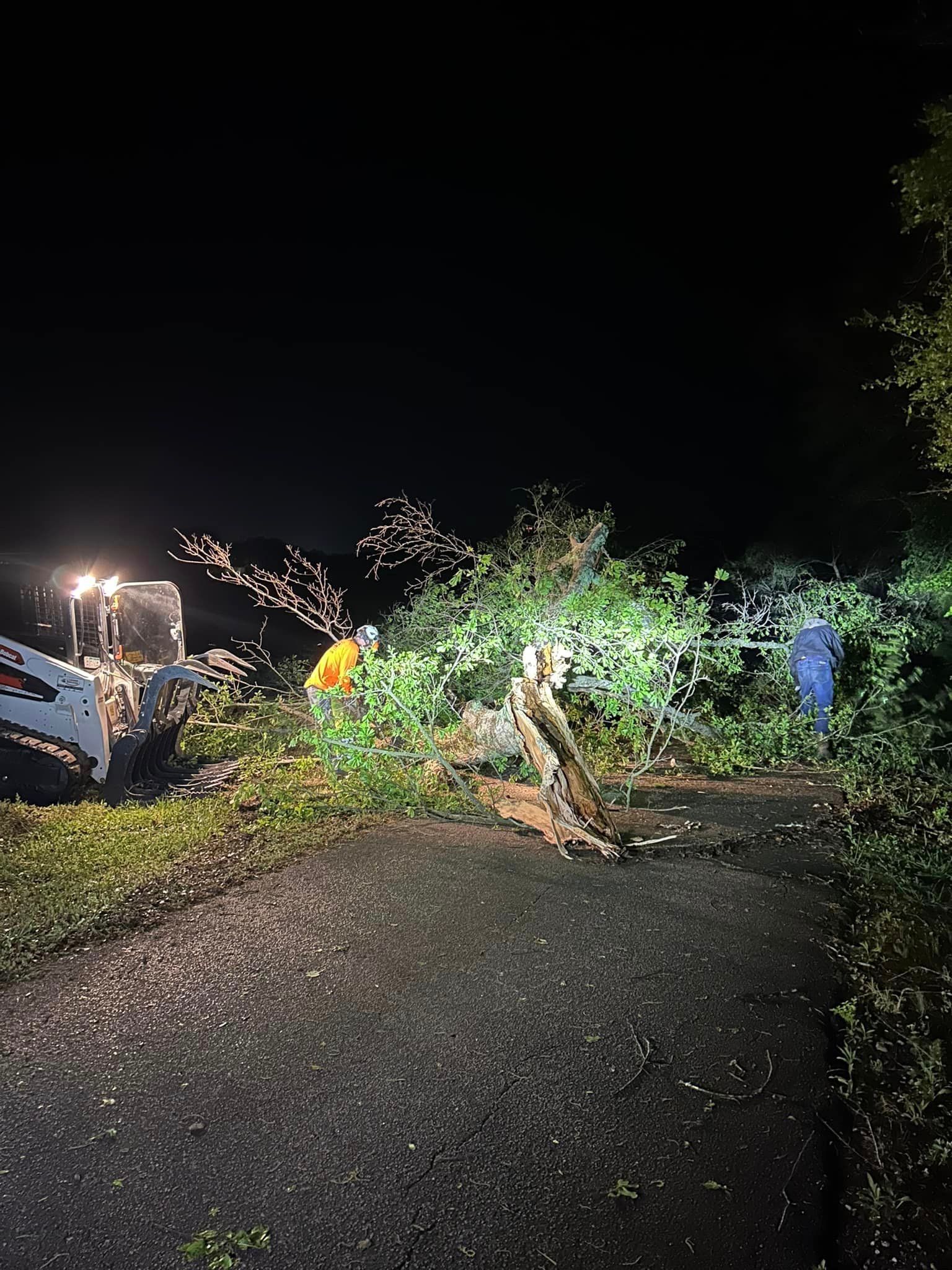 A group of people are working on a fallen tree at night.