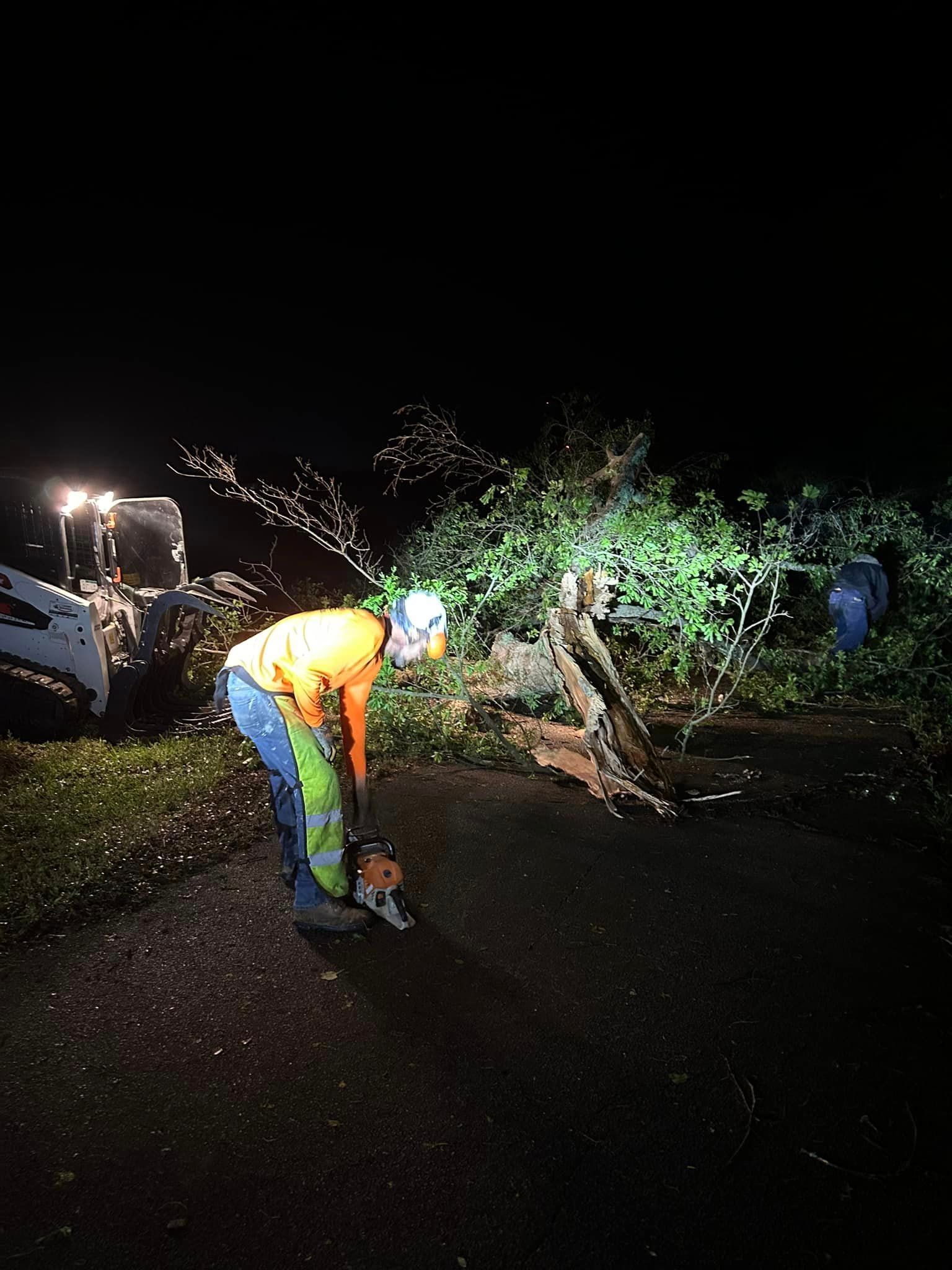 A man is cutting a tree with a chainsaw at night.