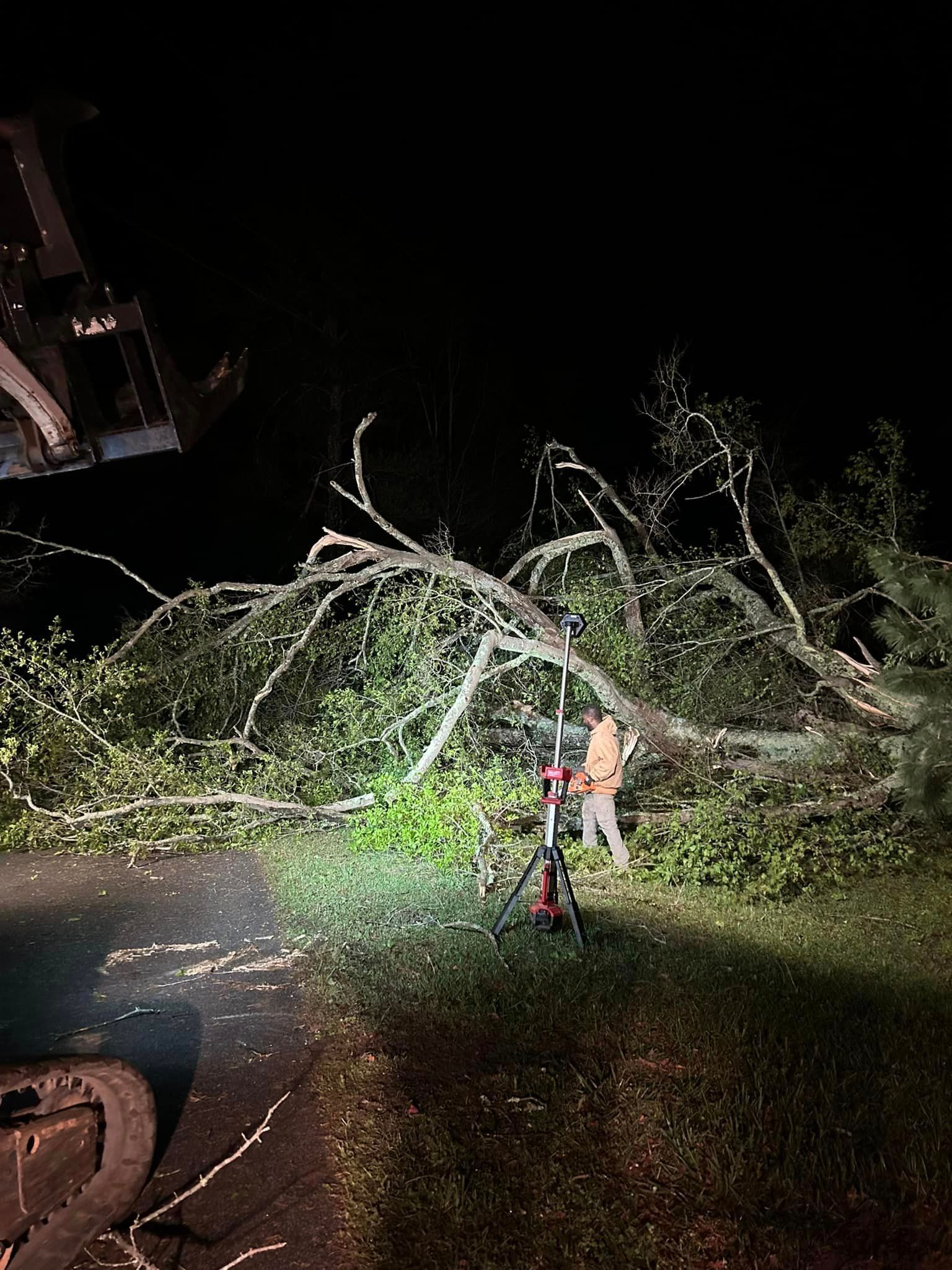 A man is standing in front of a fallen tree at night.