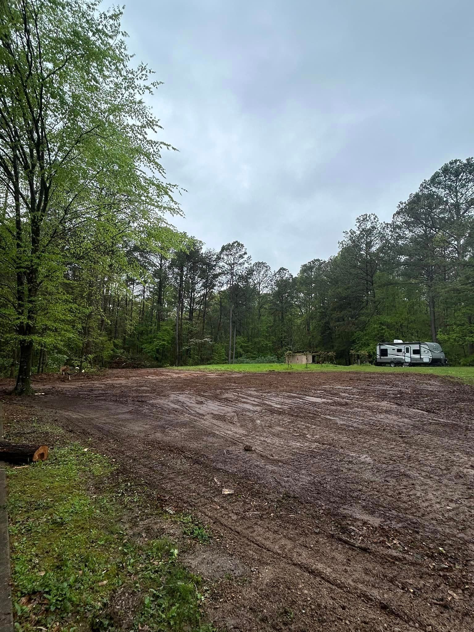 A dirt road leading to a house in the woods.