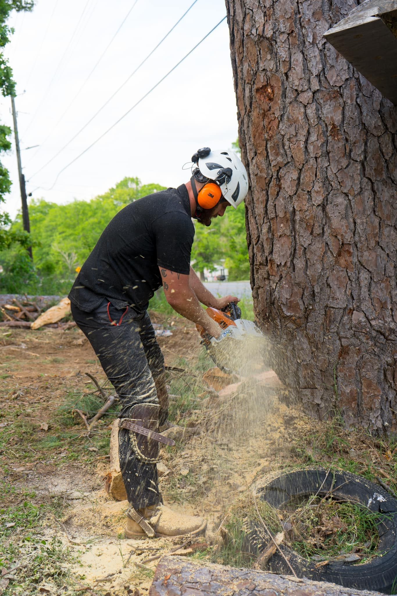 A man is cutting a tree with a chainsaw.