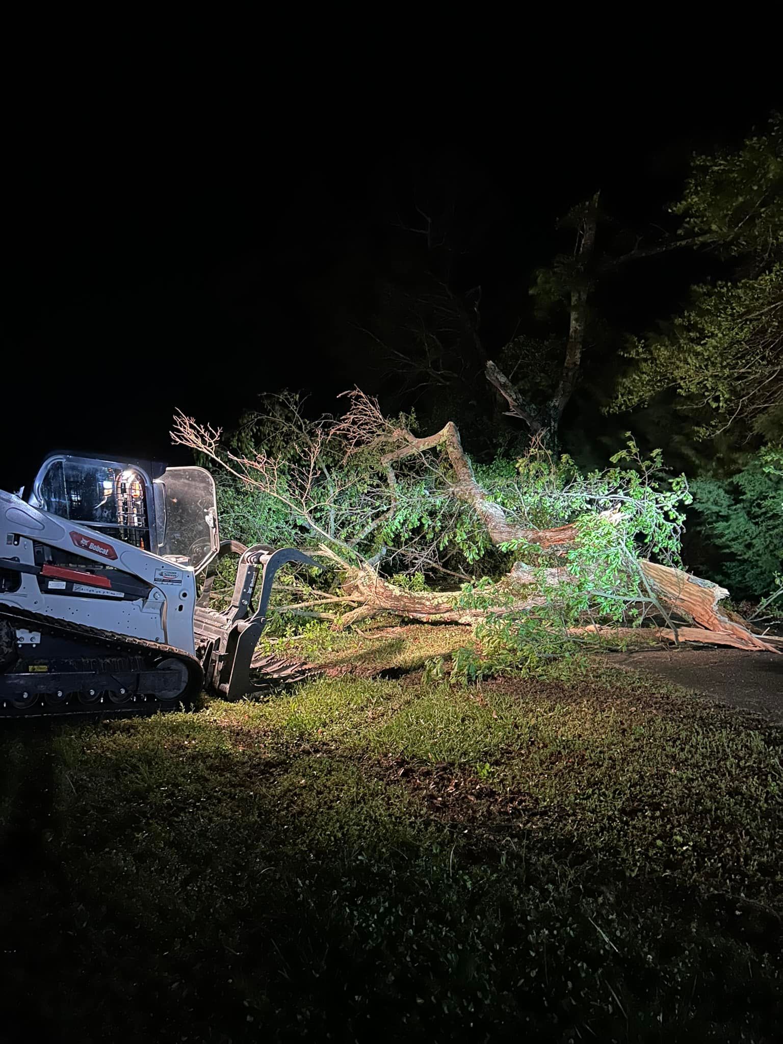 A bulldozer is cutting down a tree at night.