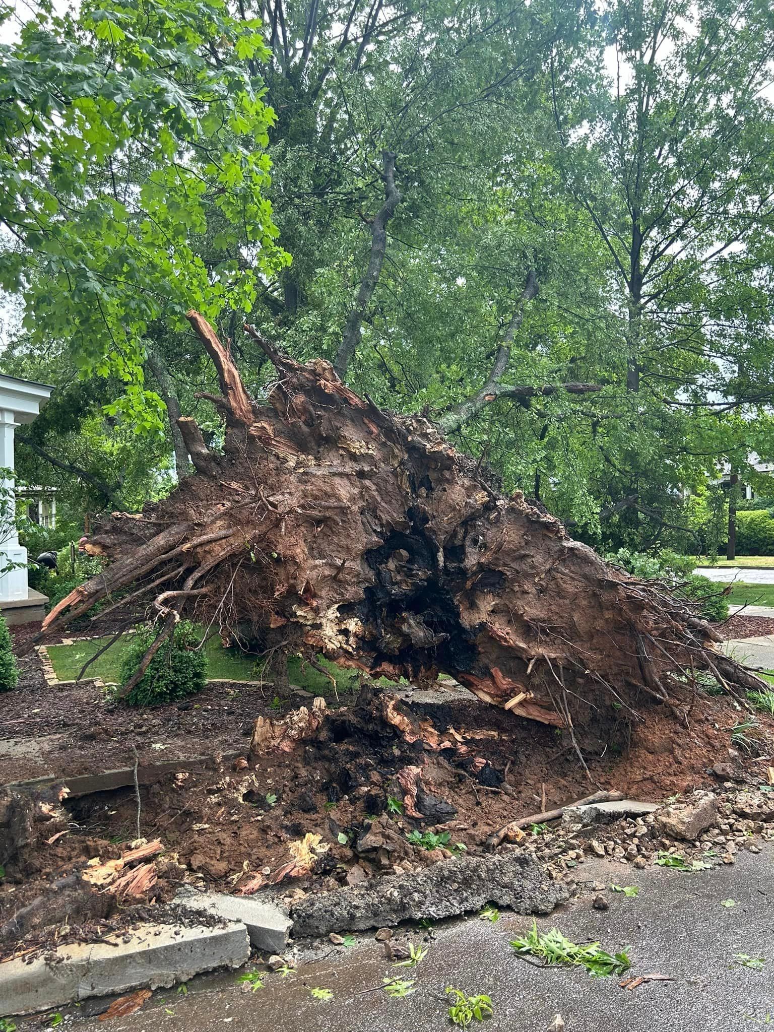 A large tree stump is laying on the ground in front of a house.