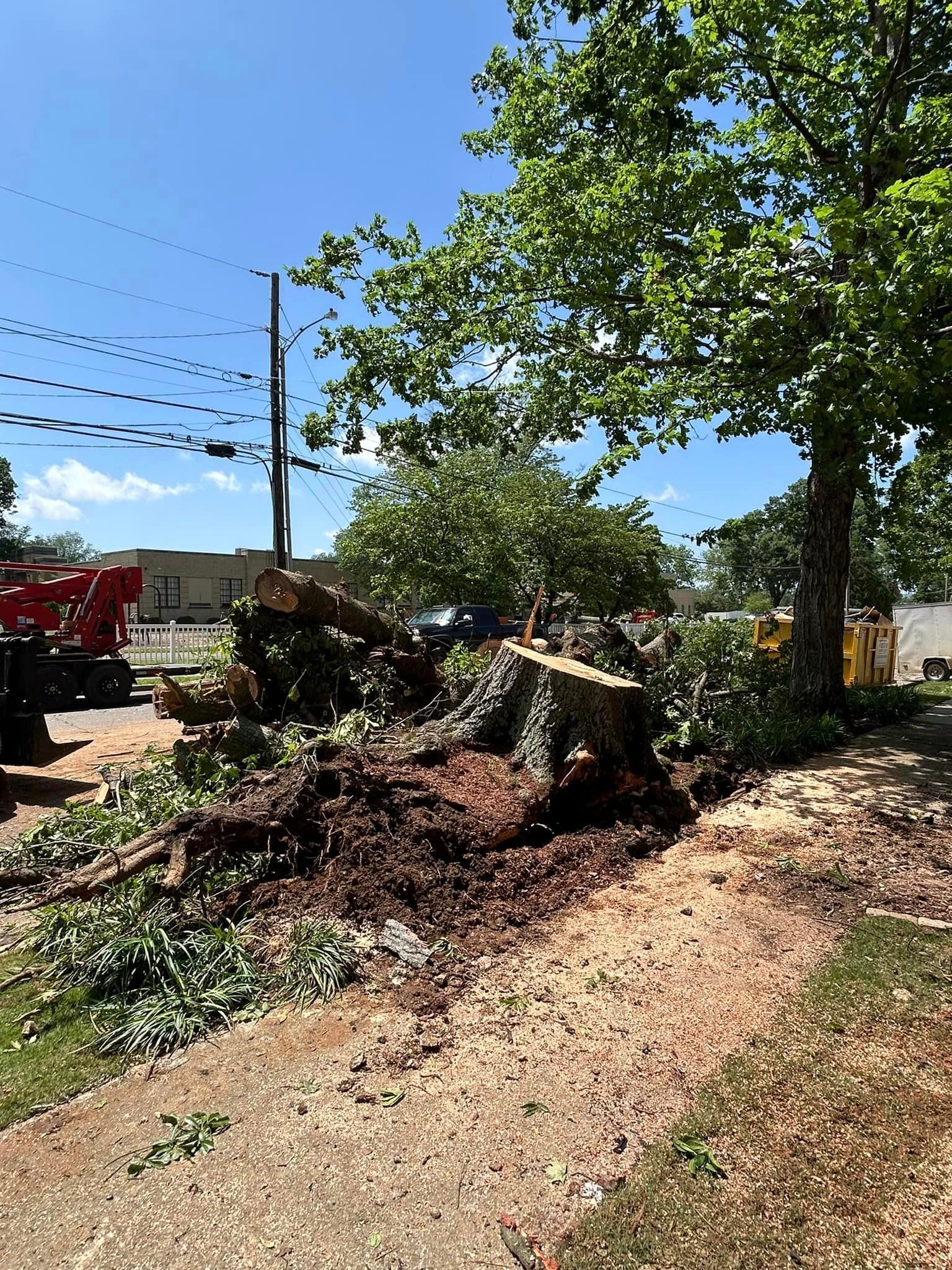 A large tree stump is sitting on the side of the road.