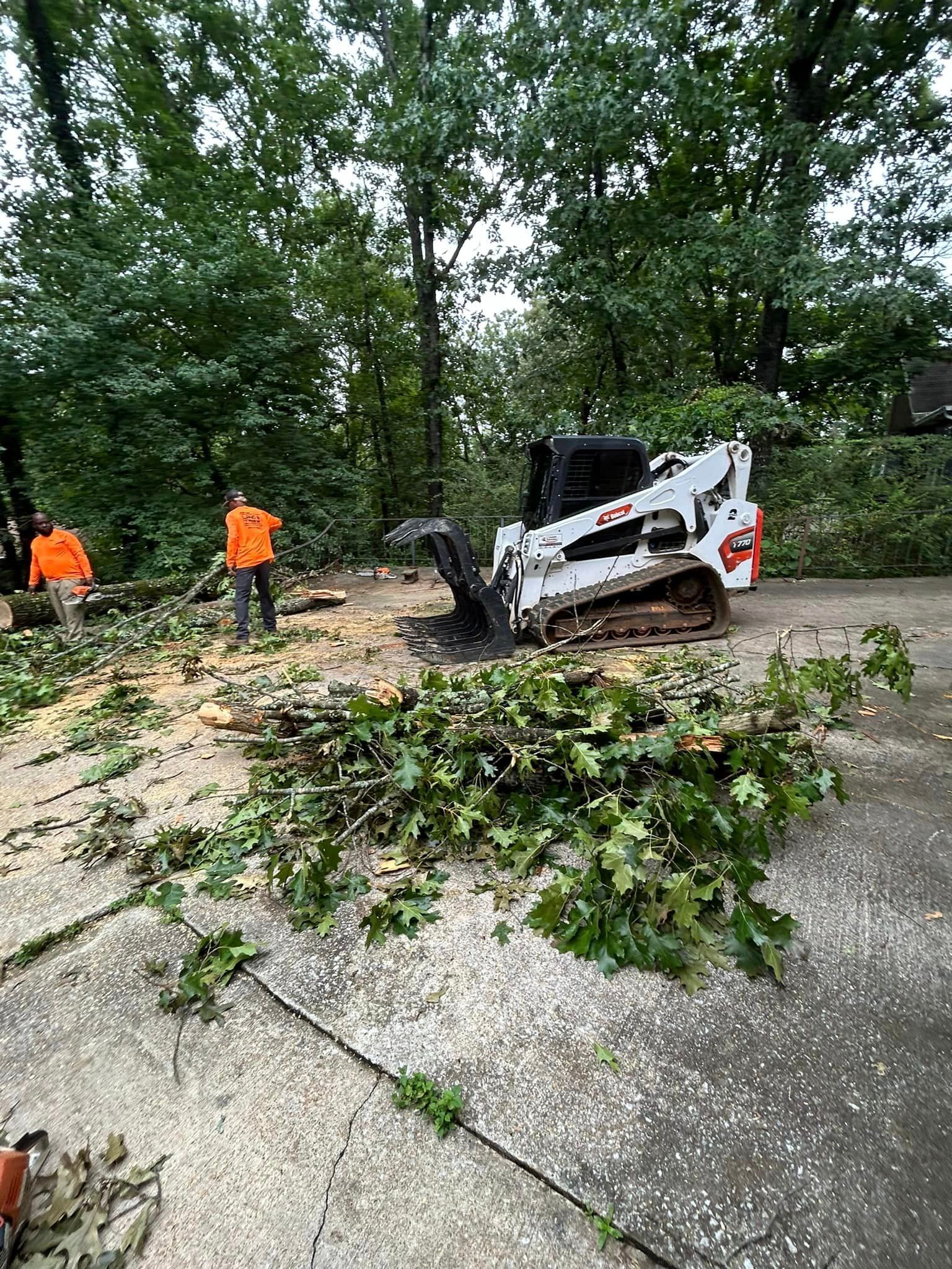 A bobcat is cutting down a tree in a driveway.