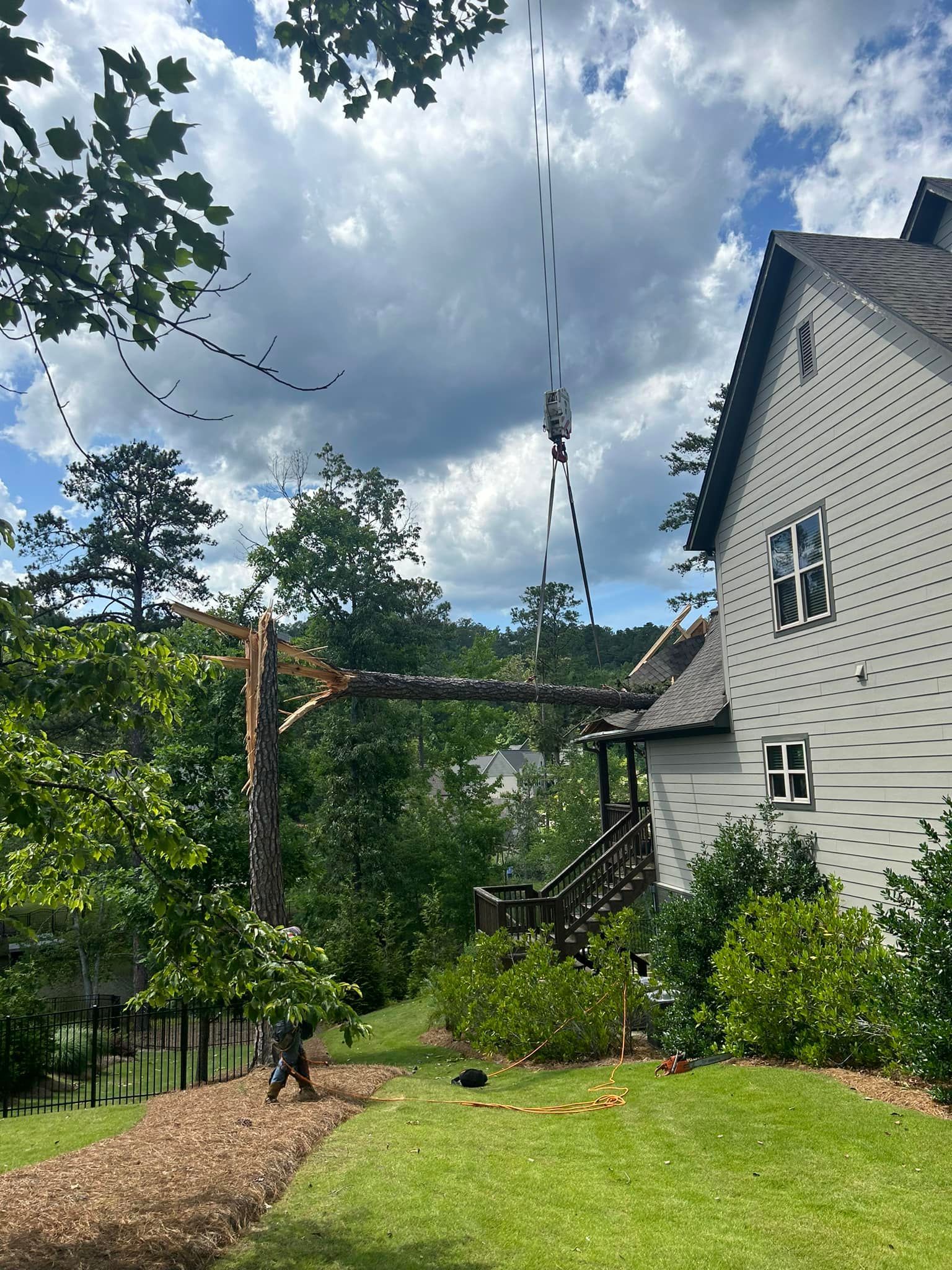 A tree is being removed from a house by a crane.