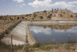 Large Water Hole