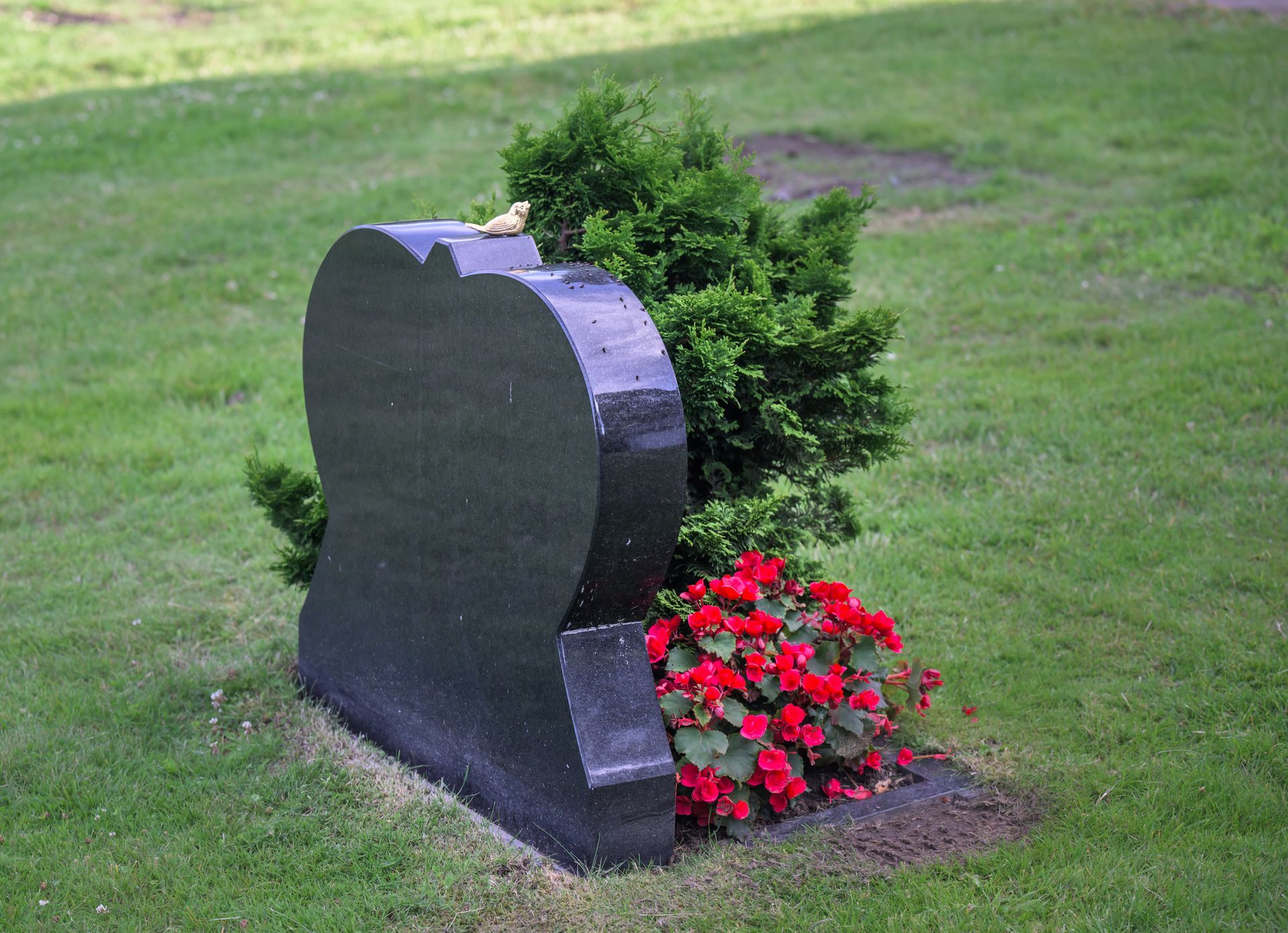 A wonderful golden bird is on top of the custom headstone in a cemetery.