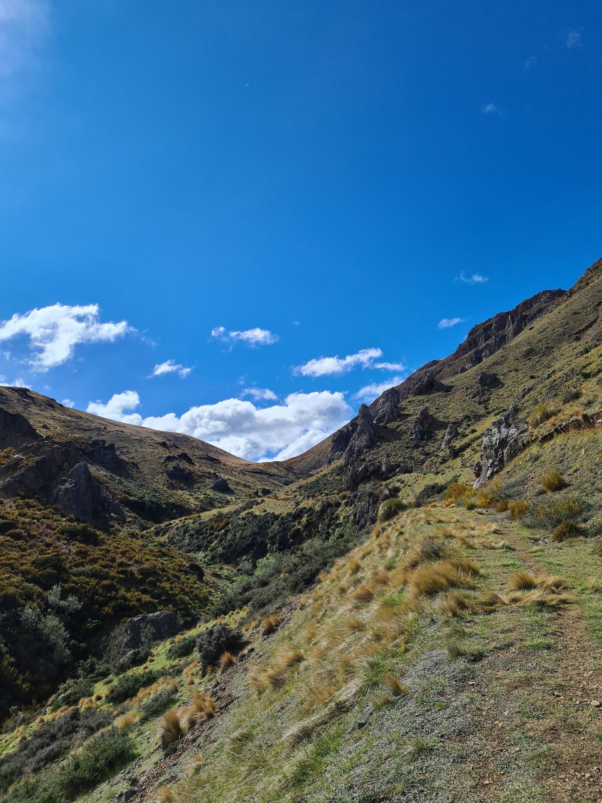 A mountain covered in grass and trees with a blue sky in the background.