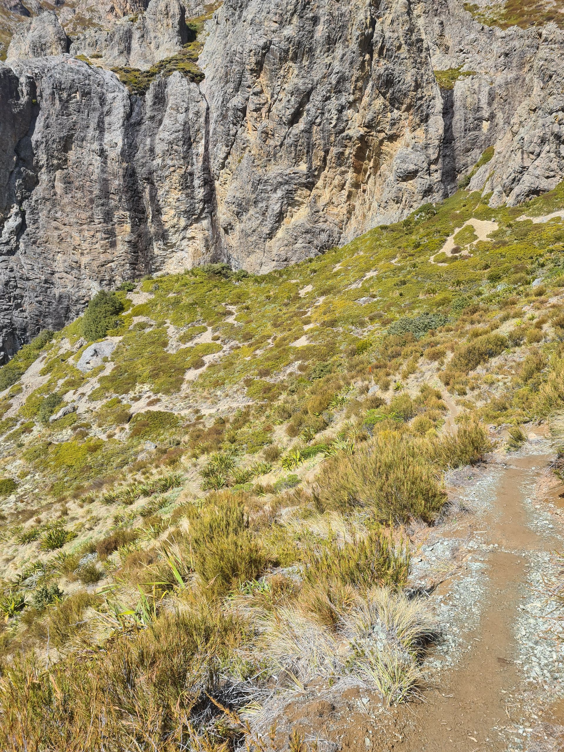 A dirt path going up a hill next to a rock wall.