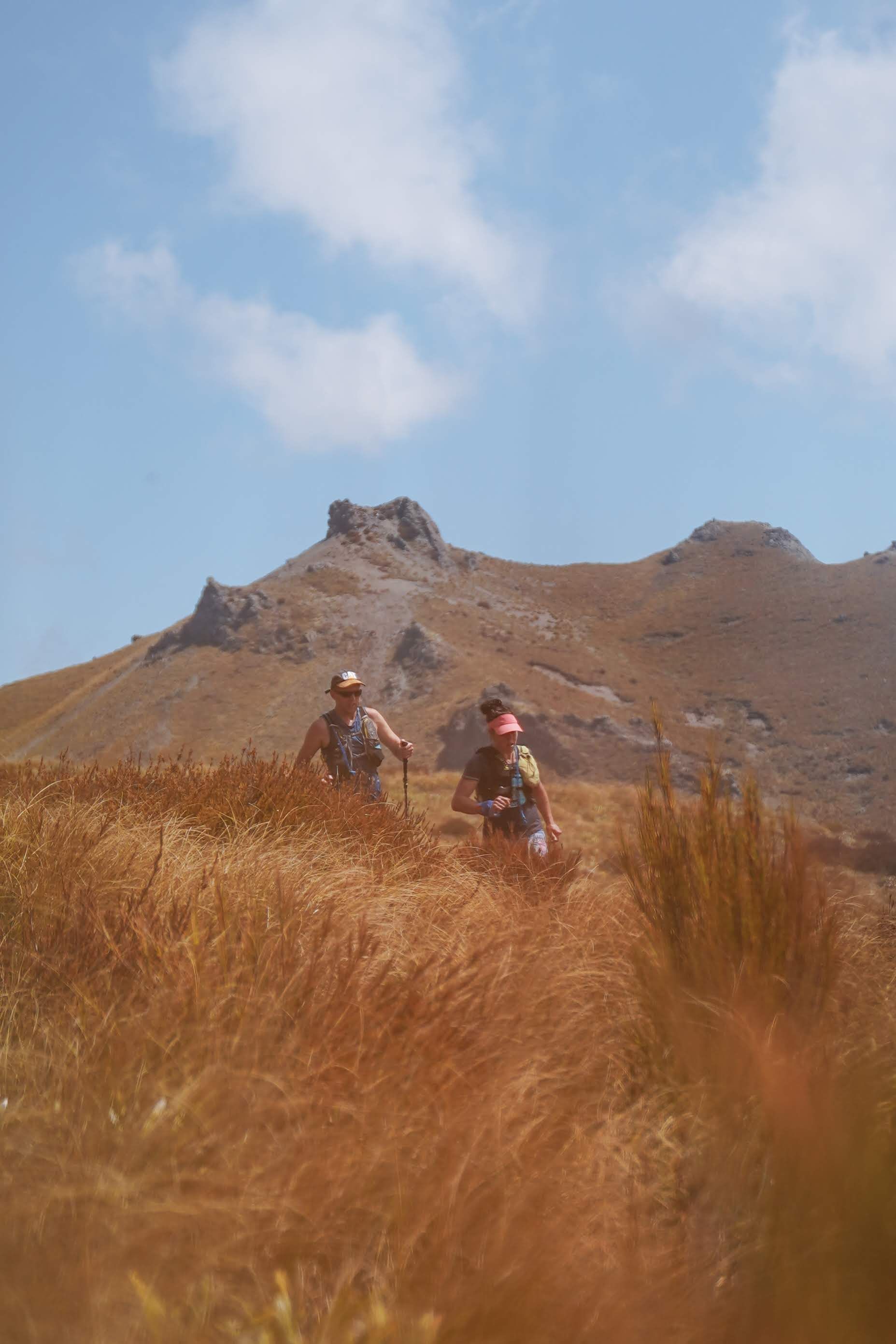 Two people are walking through a field with a mountain in the background.