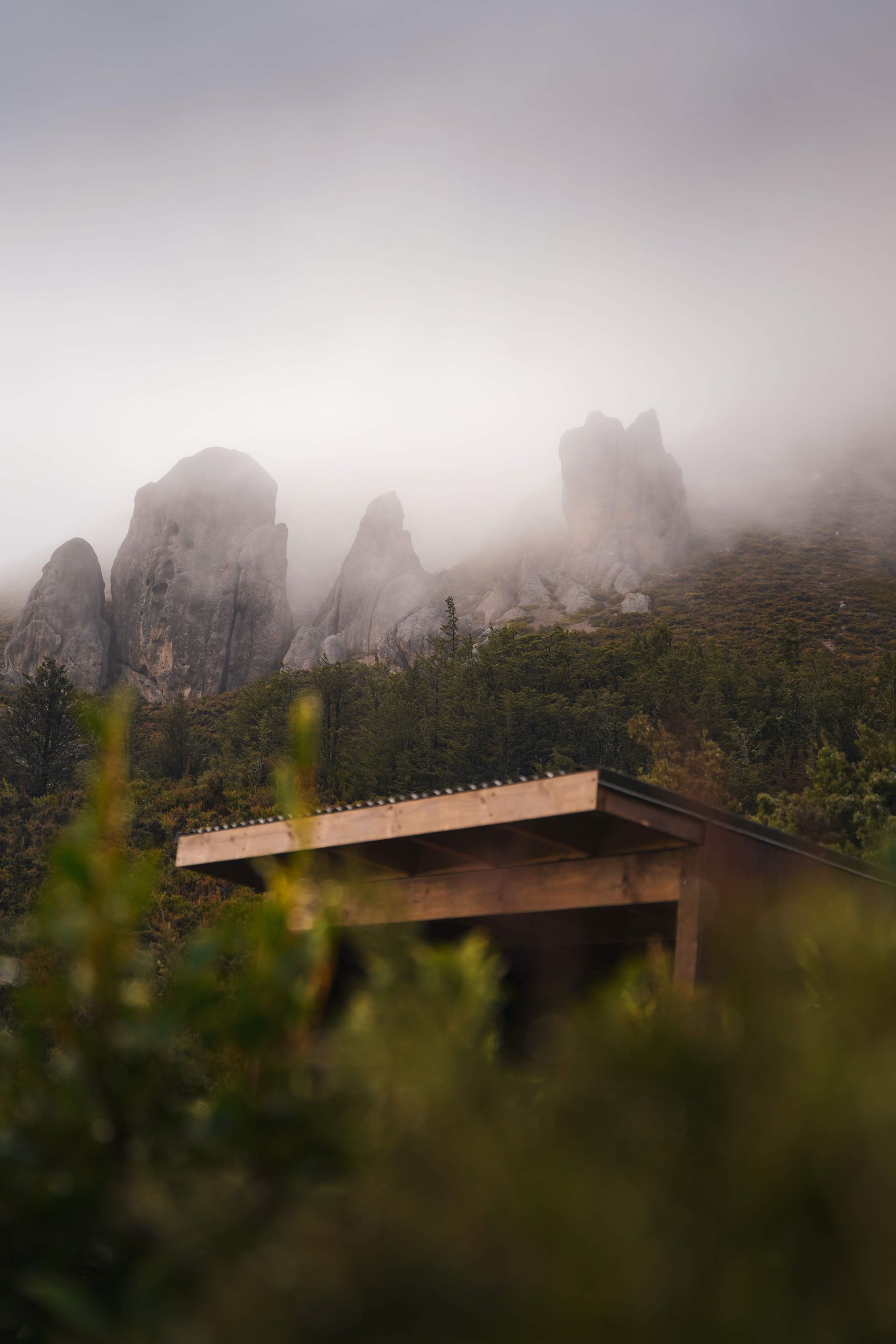 A house in the middle of a forest with mountains in the background covered in fog.