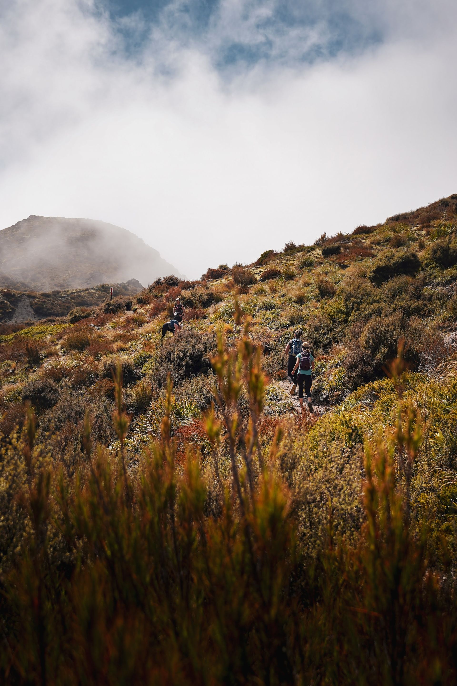 A group of people are hiking up a hill in the mountains.