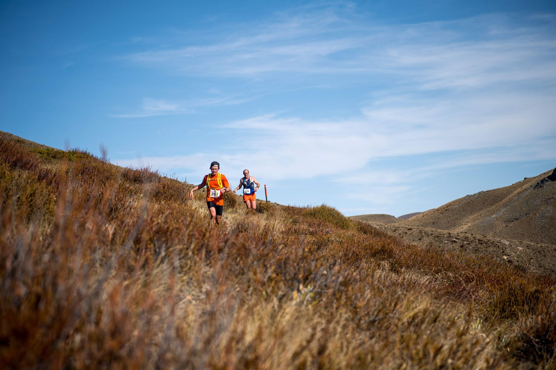 Two people are running up a hill in a field.