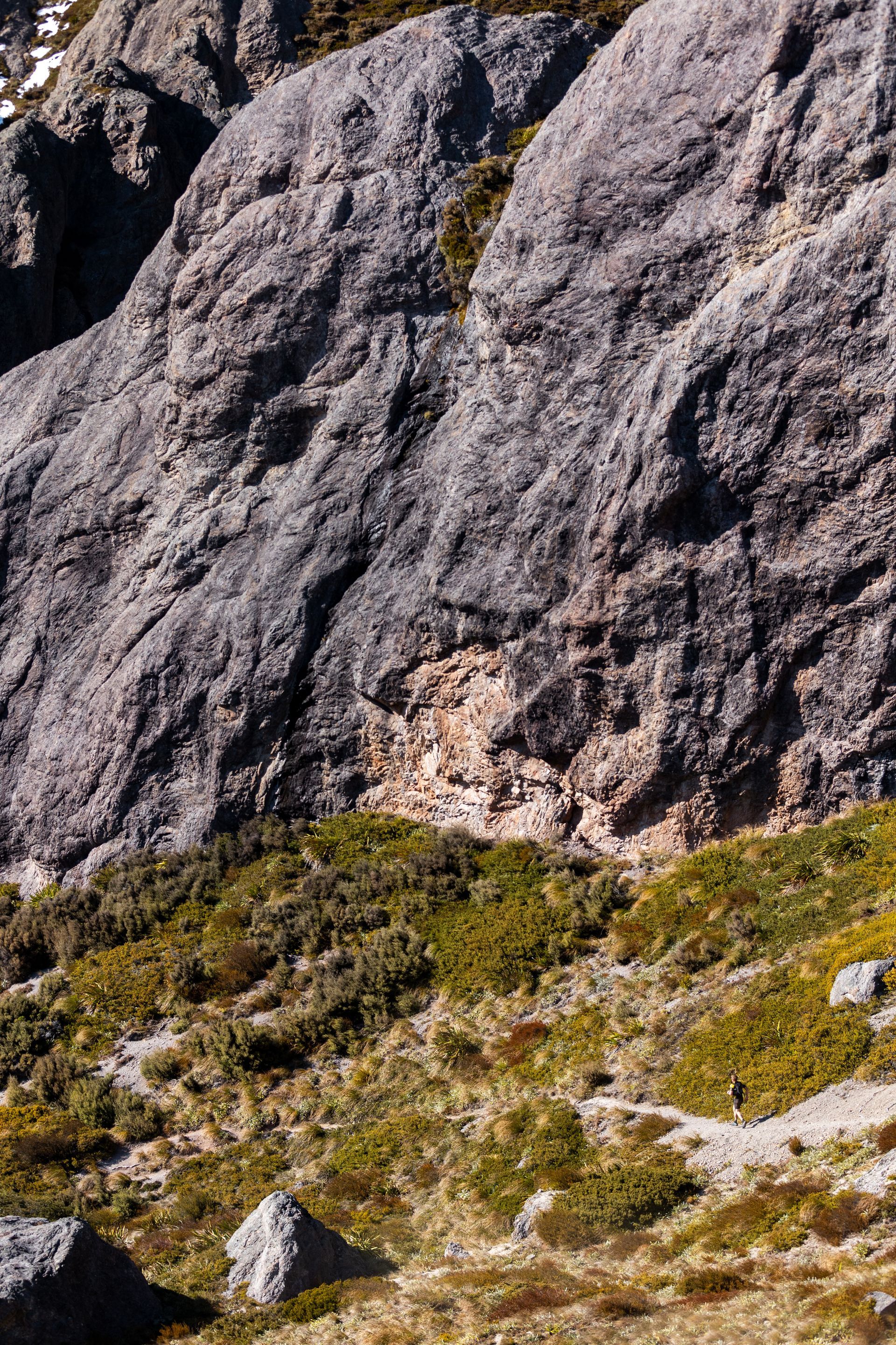 A cliff with a lot of rocks and plants on it