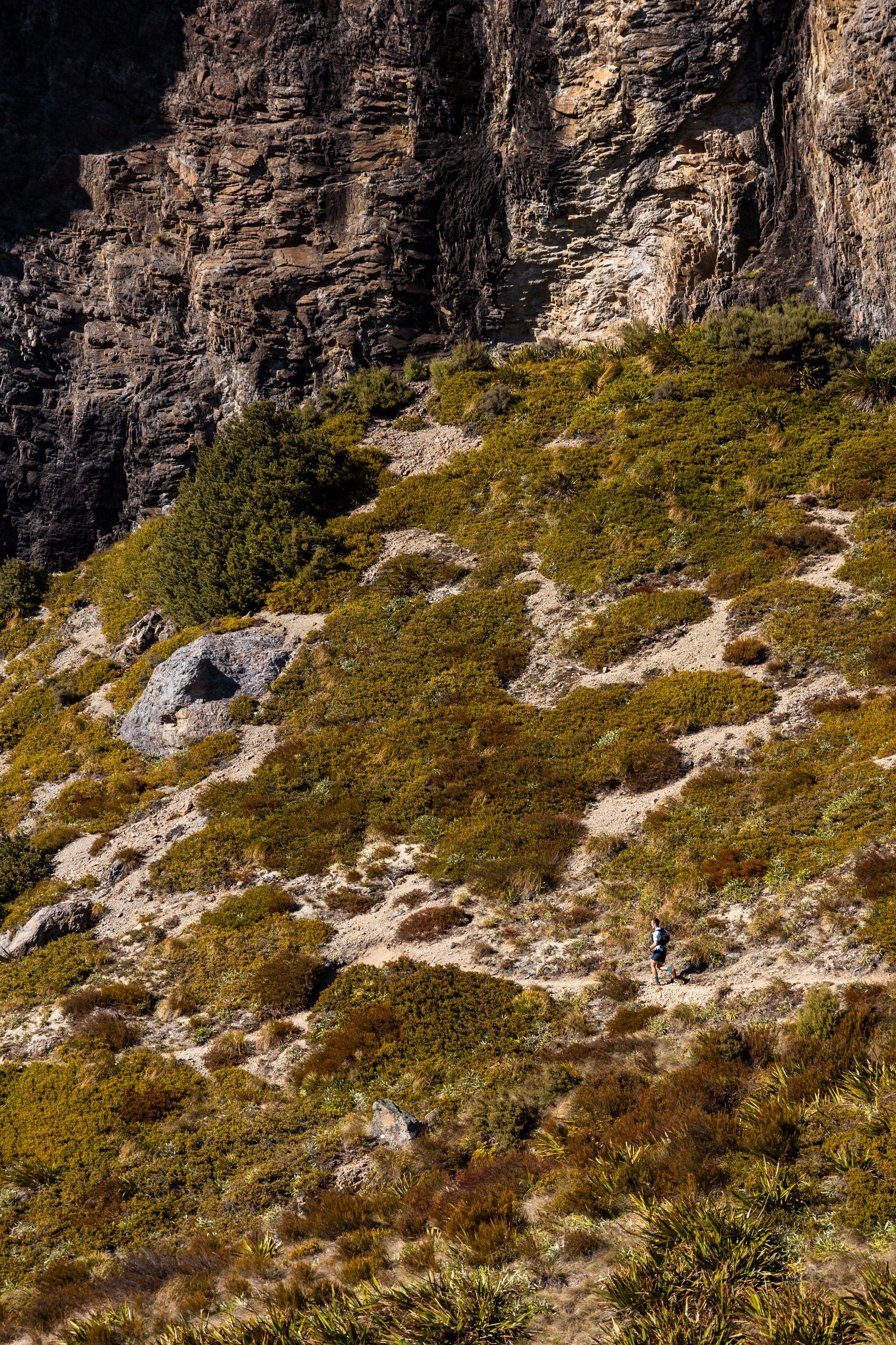 A mountain covered in lots of plants and rocks.