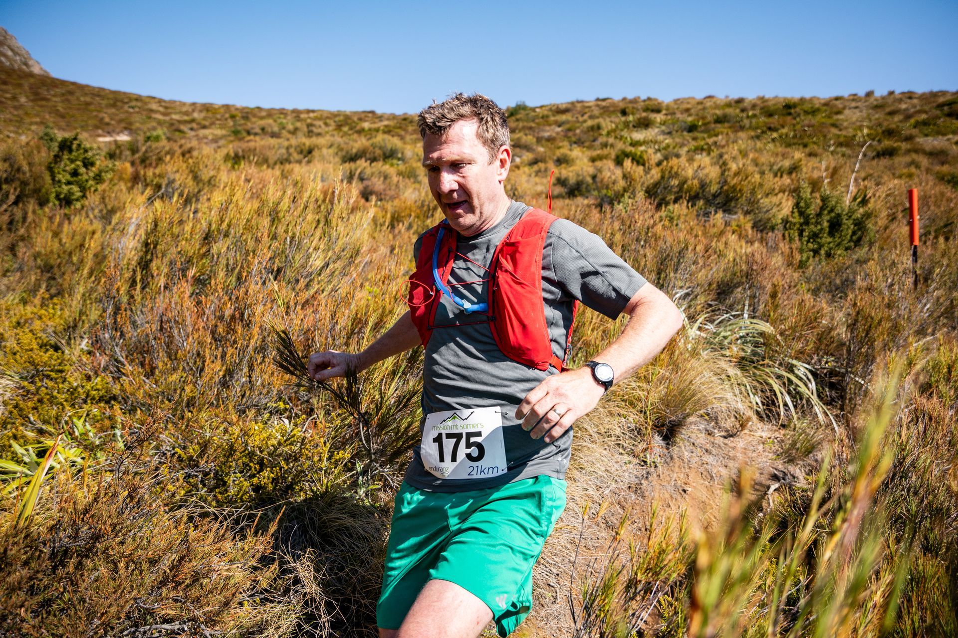 A man wearing a number 175 bib is running through a field.
