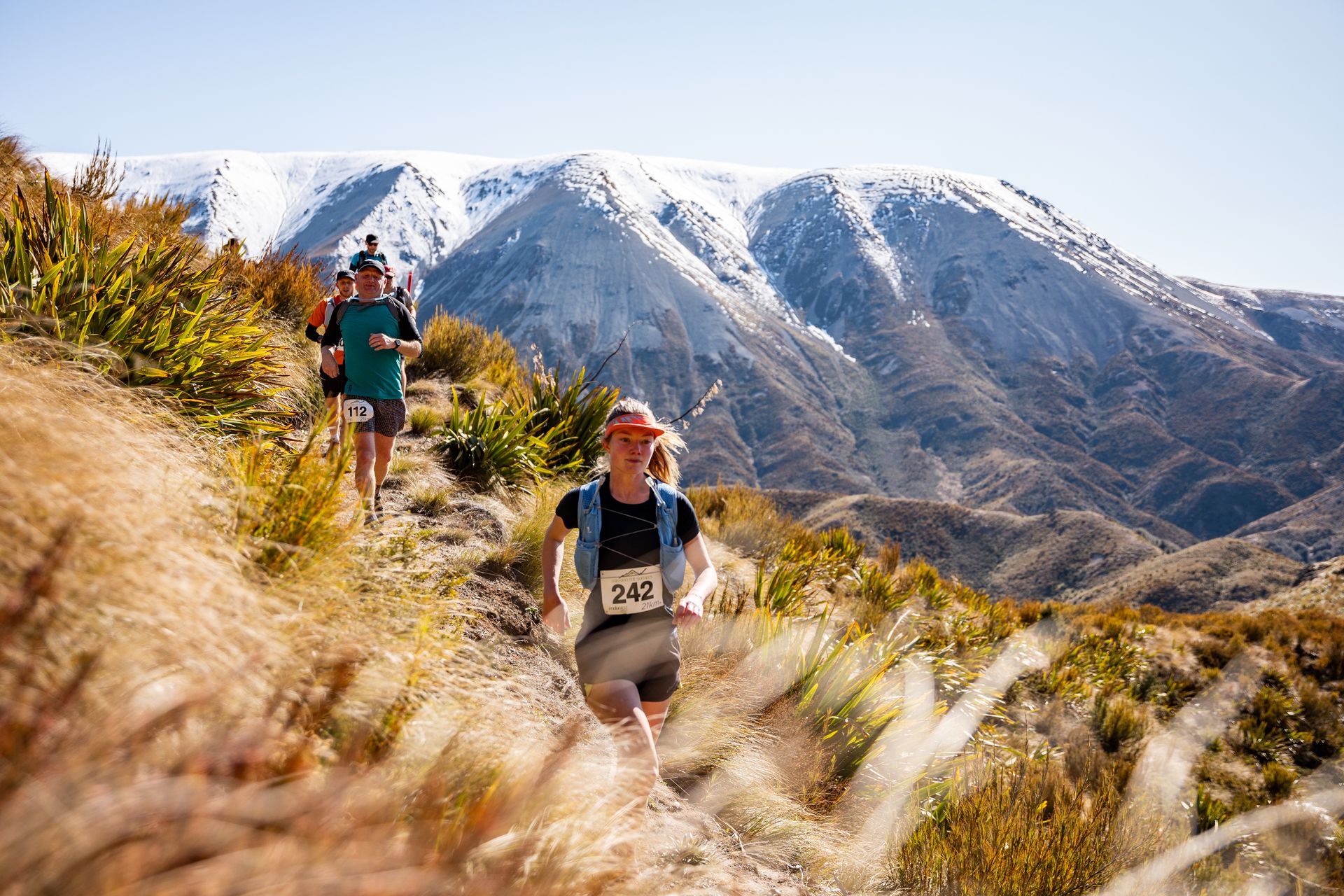A group of people are running on a trail in the mountains.