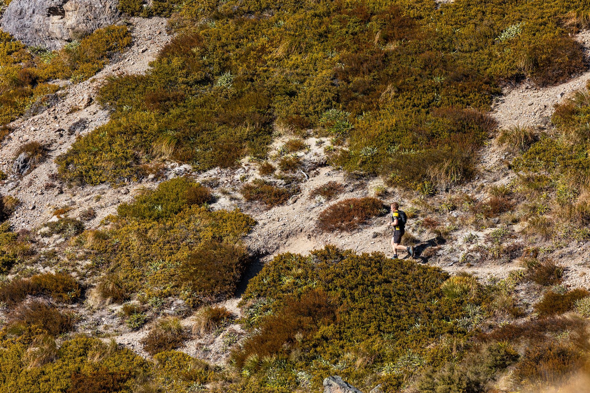 A person is walking on a dirt path in the woods.