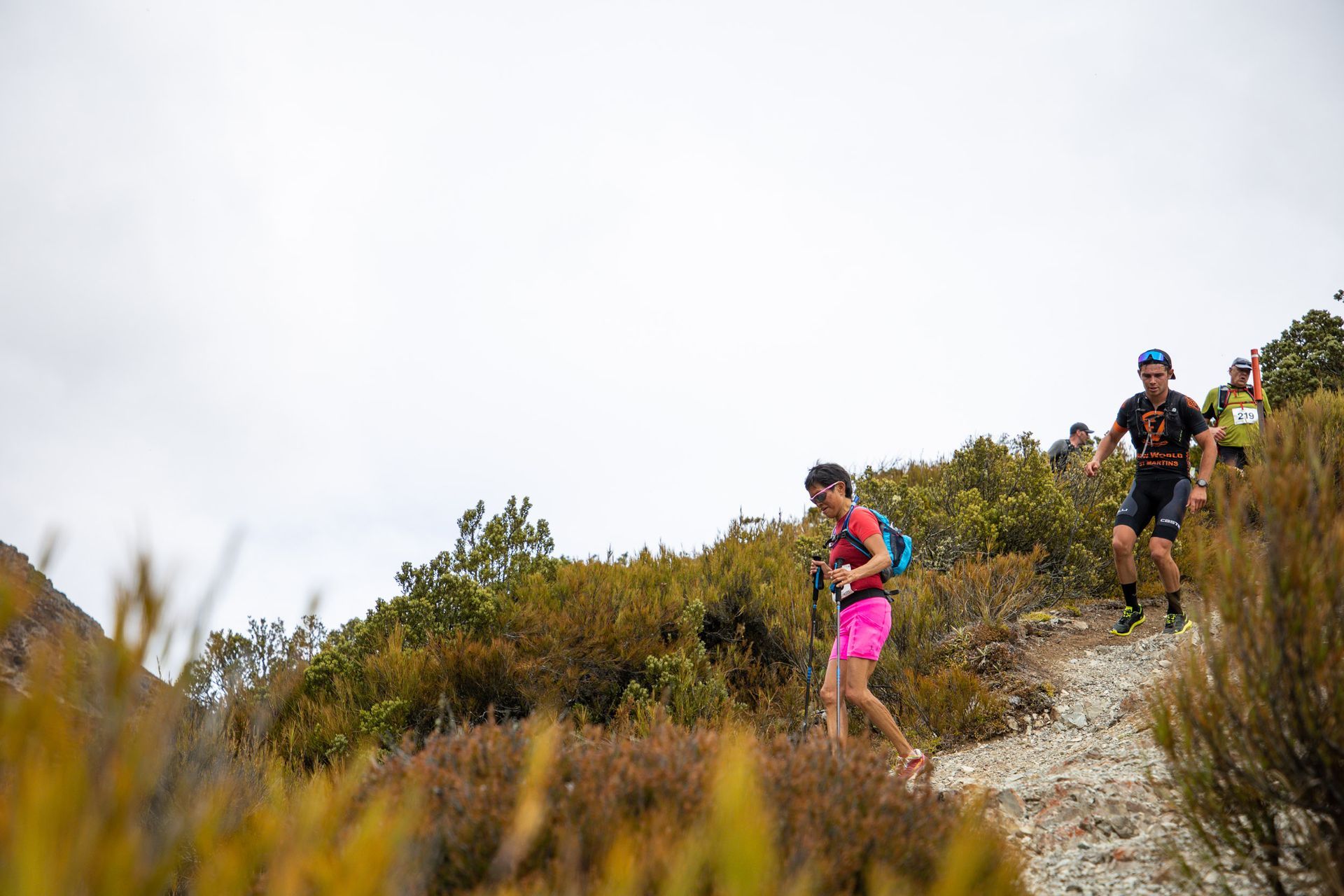 A group of people are hiking up a hill.