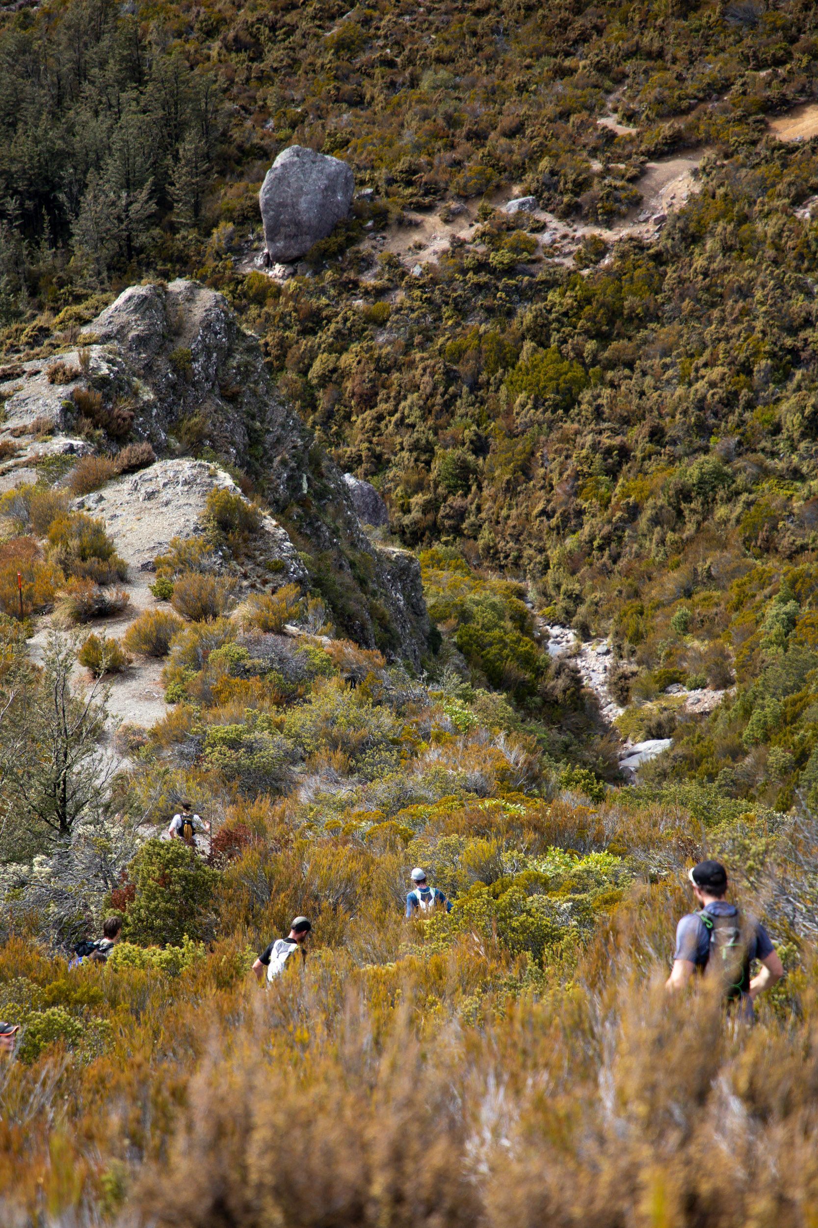 A group of people are hiking up a hill in the woods.