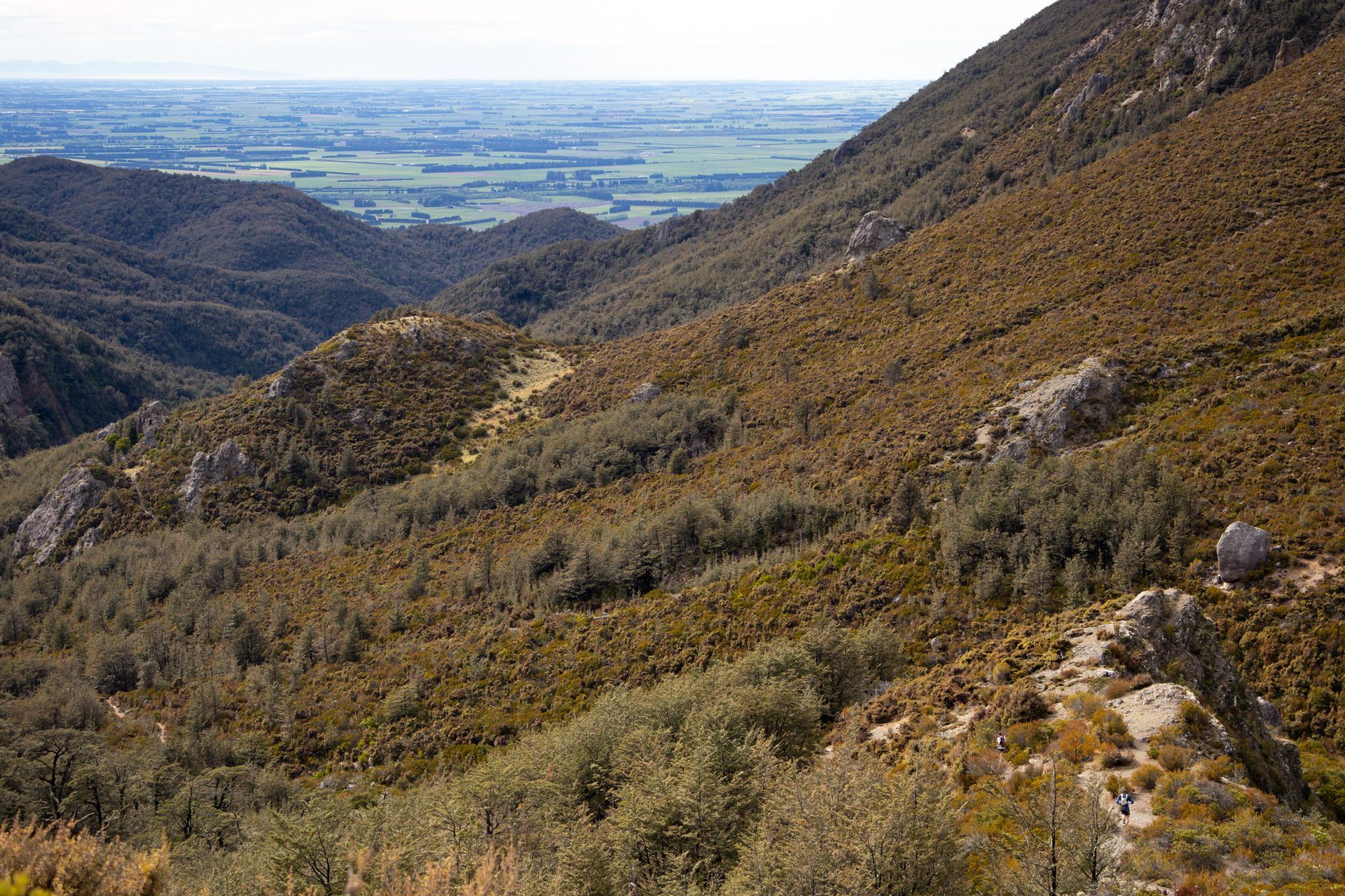 A view of a valley from the top of a mountain.