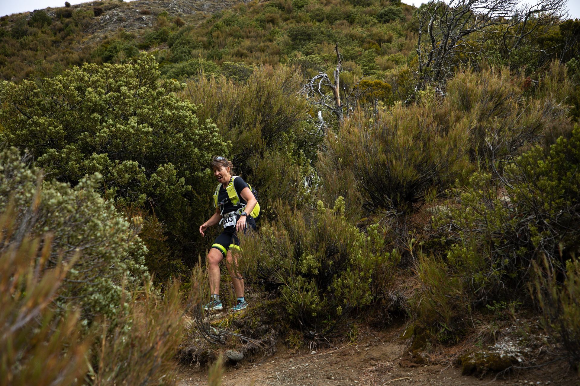 A man with a backpack is walking through a lush green forest.