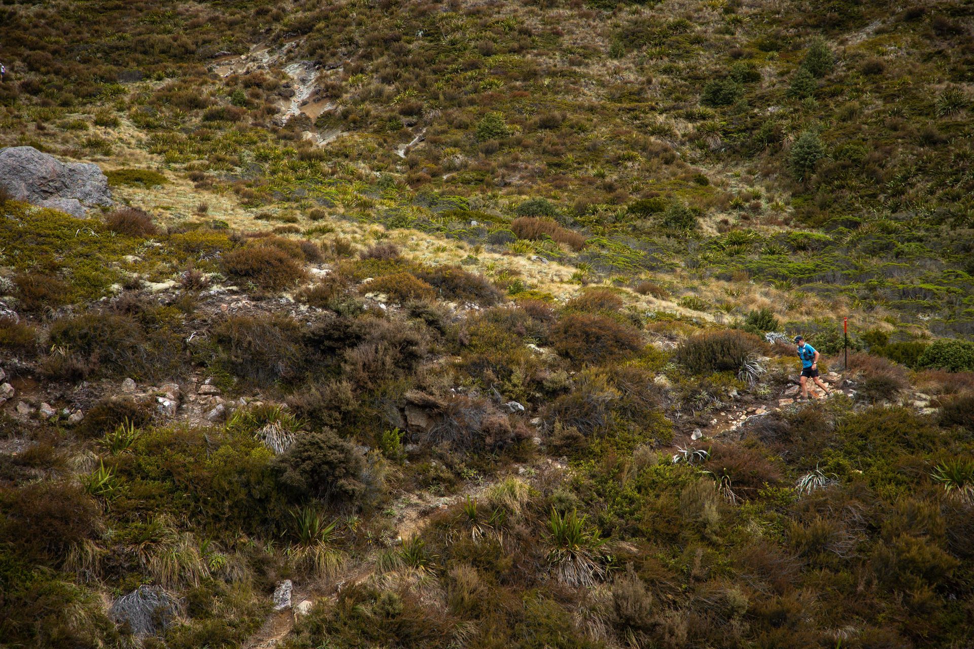 A person is walking on a trail in the mountains.