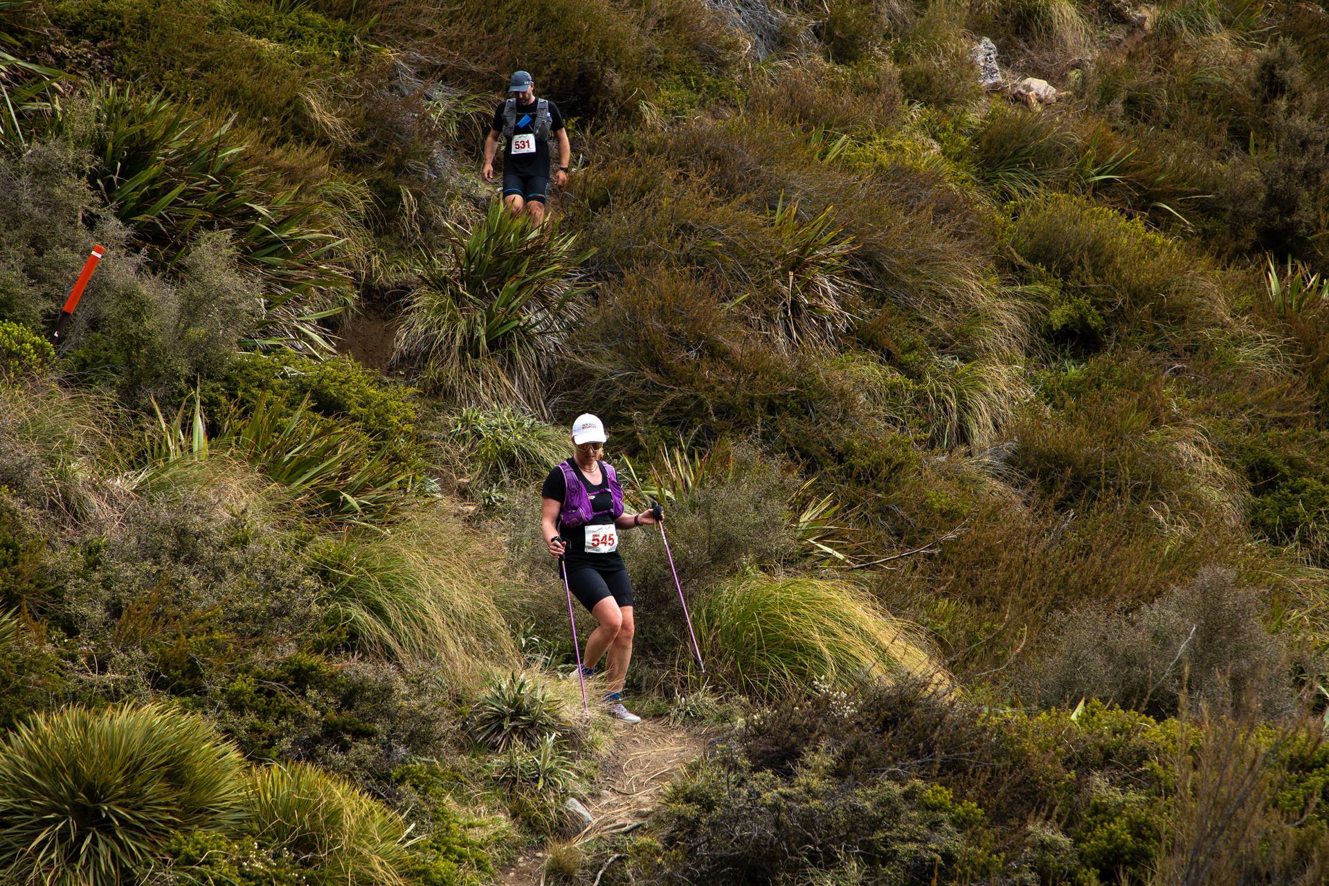 Two people are hiking up a hill on a trail.