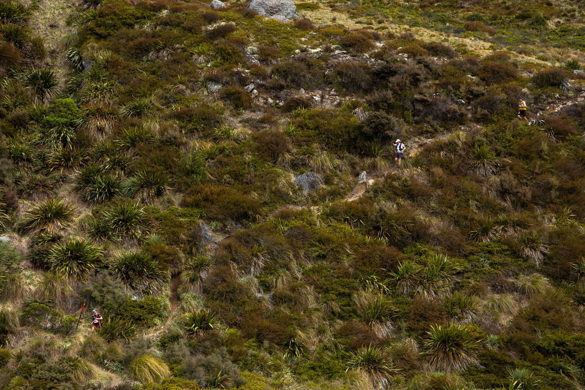 A person is riding a bike on a trail in the woods.