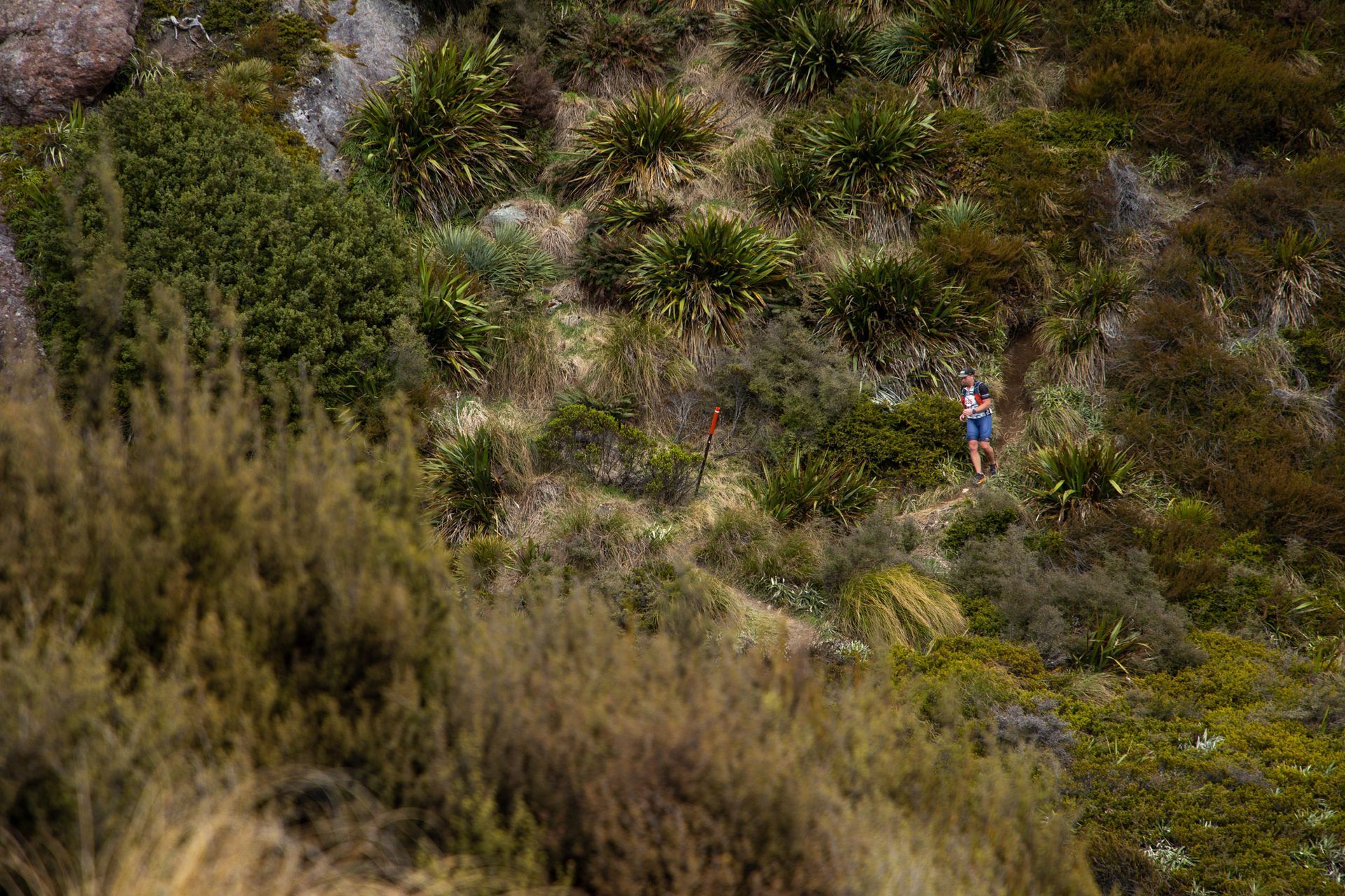 A person is standing on top of a hill surrounded by trees.