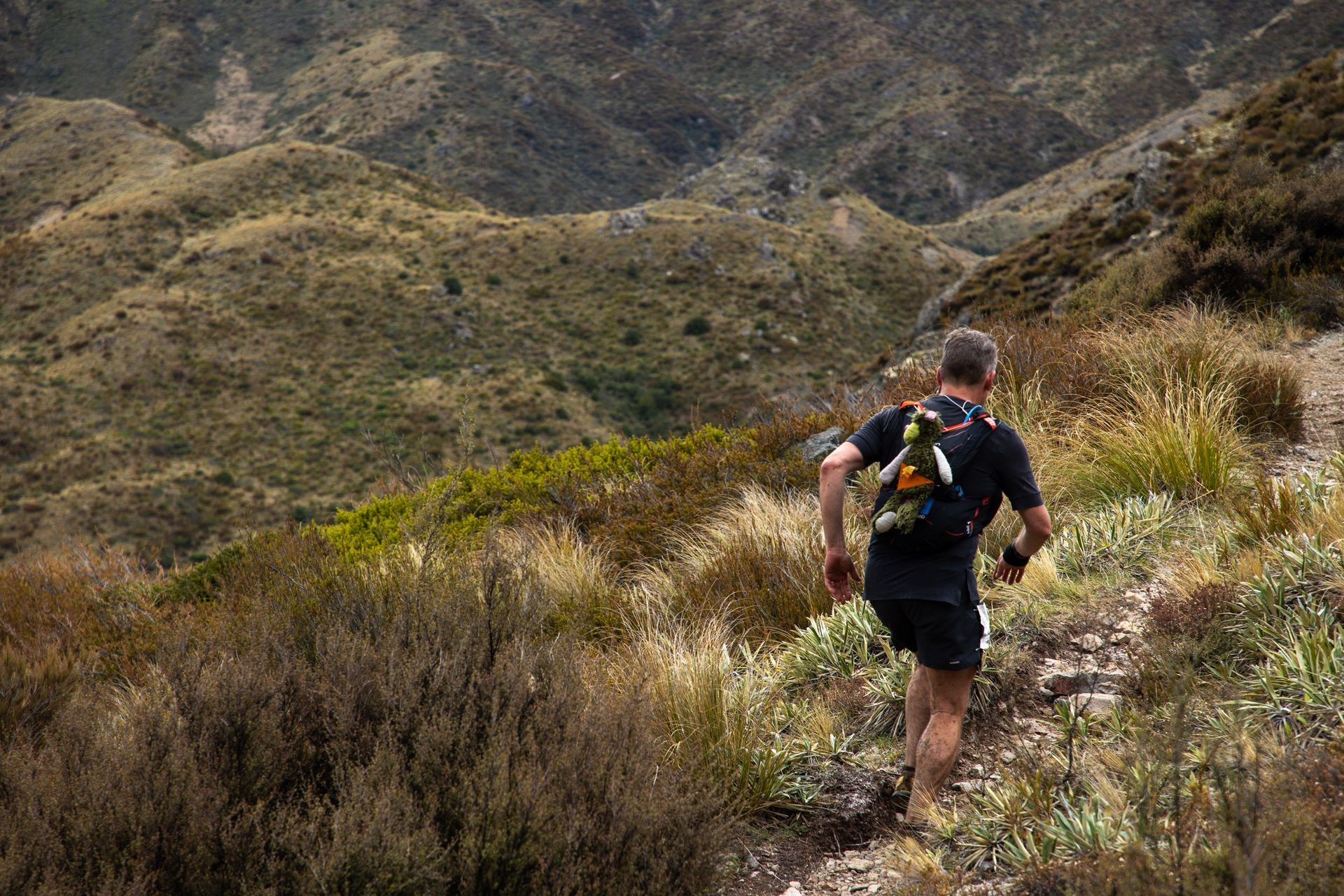 A man is running down a trail in the mountains.