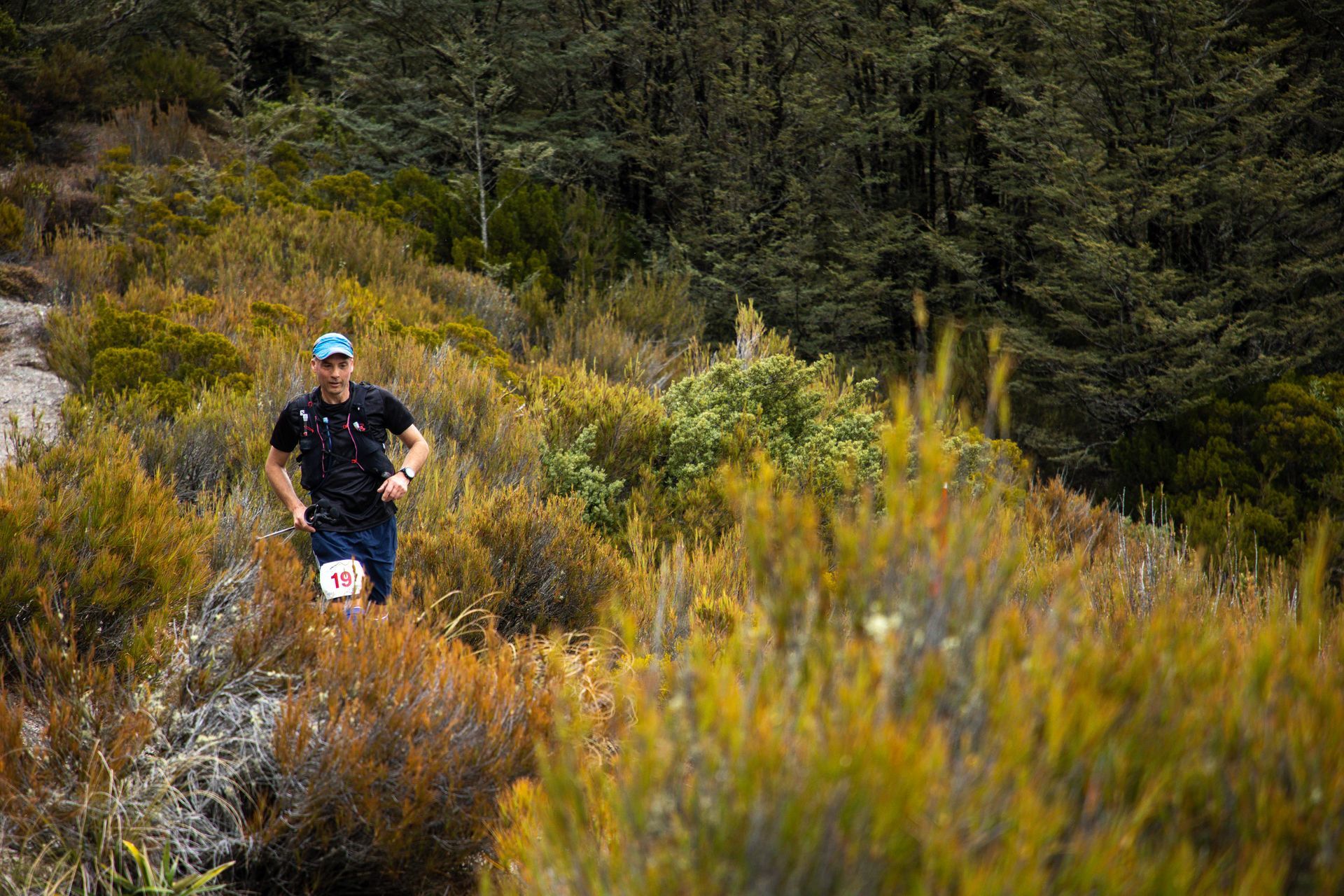 A man is running through a lush green forest.