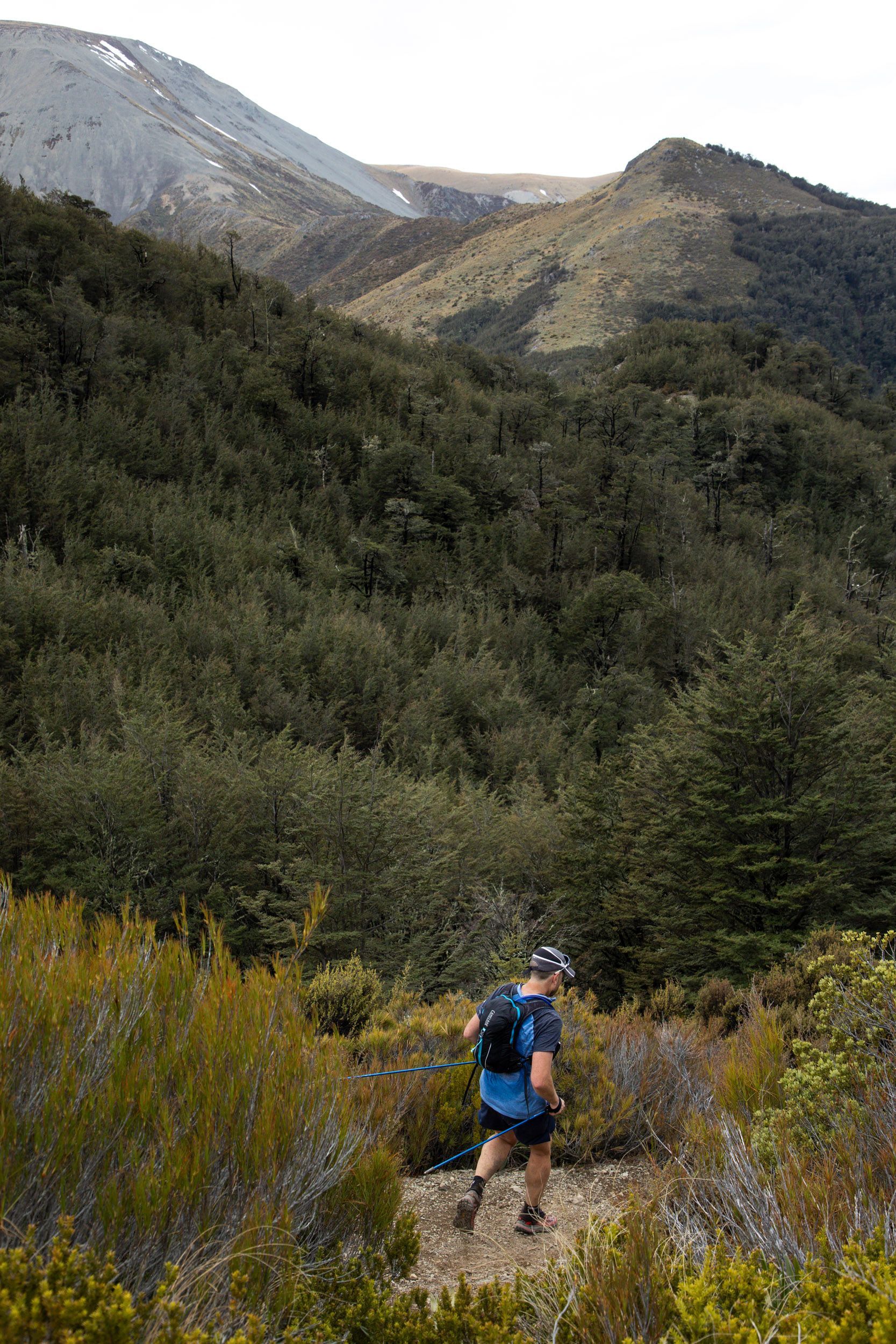 A man is walking through a forest with a mountain in the background.